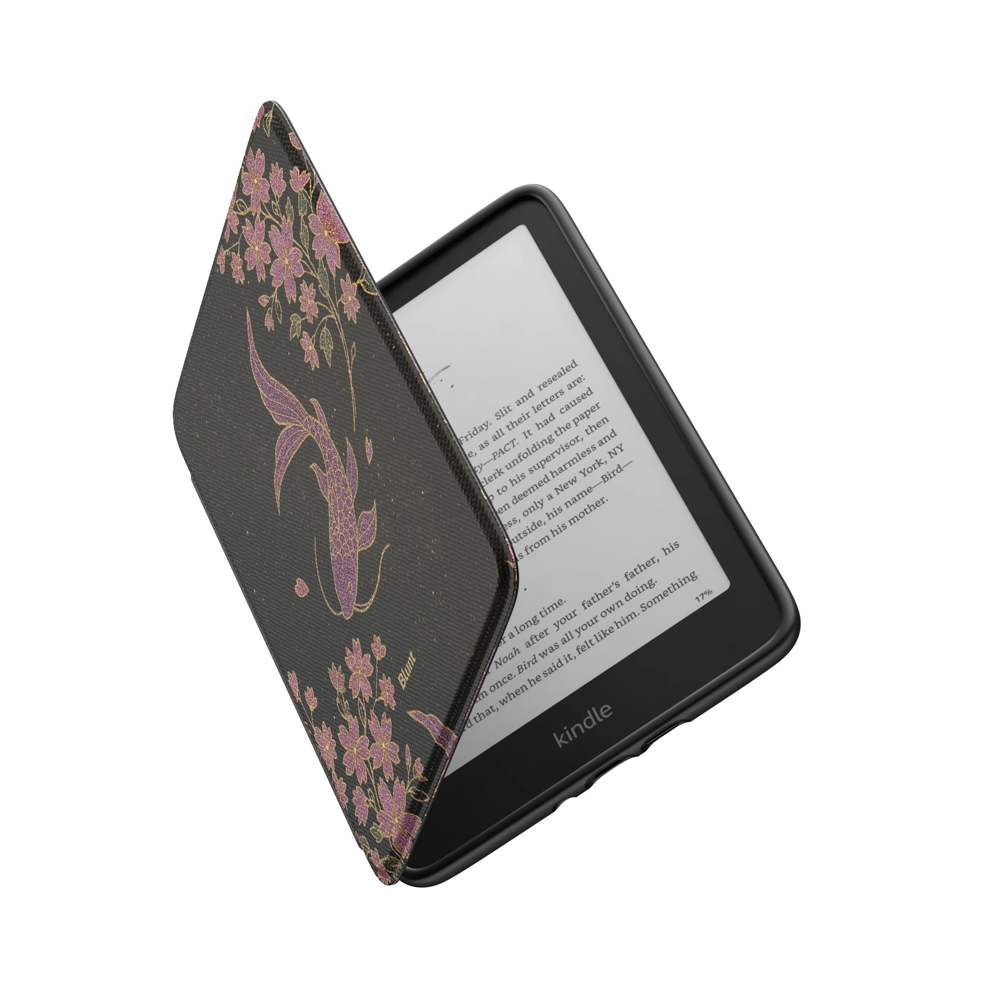 Kindle_Standard_6