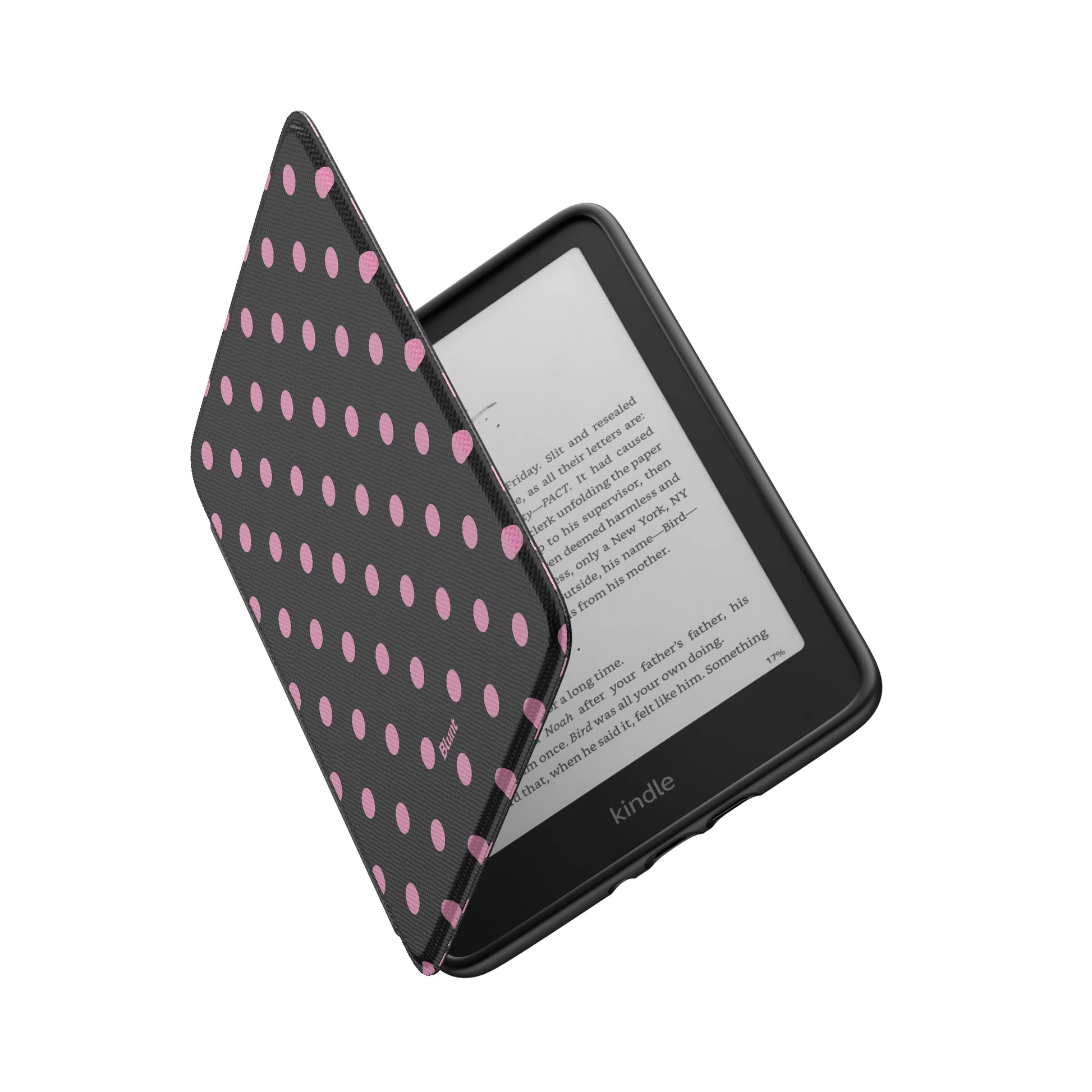 Kindle_Standard_6