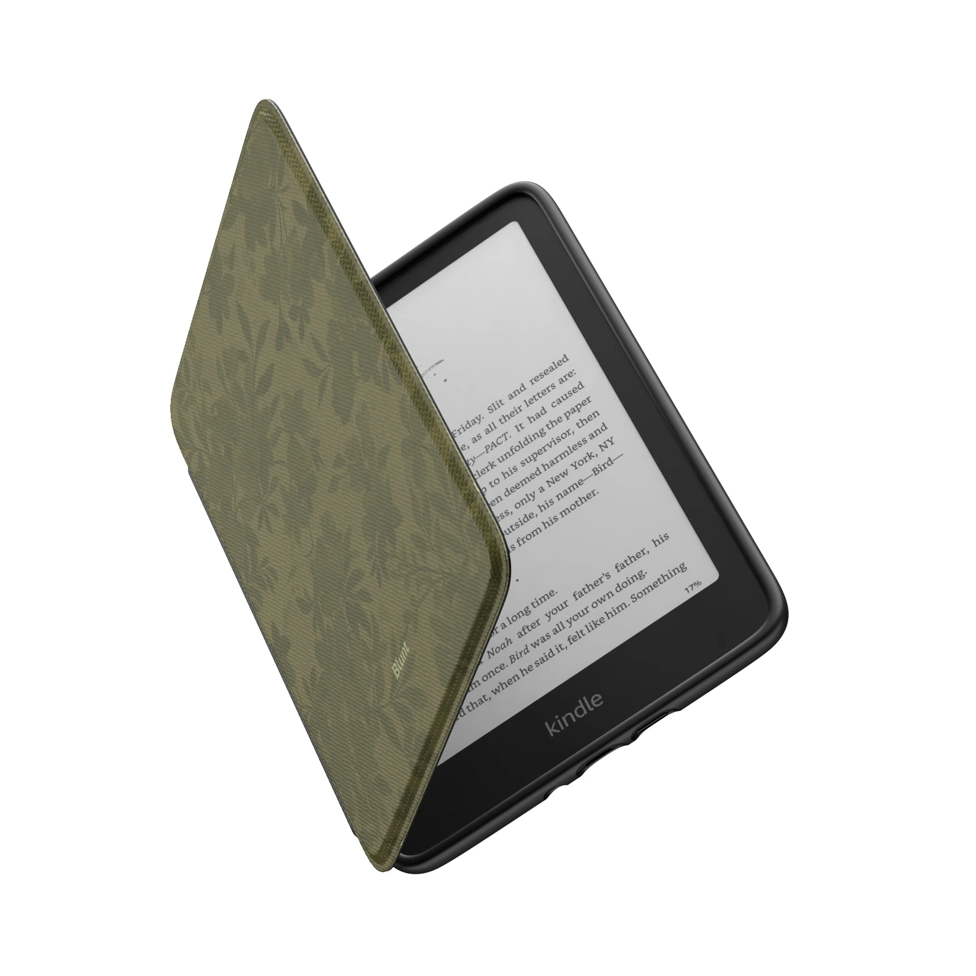Kindle_Standard_6