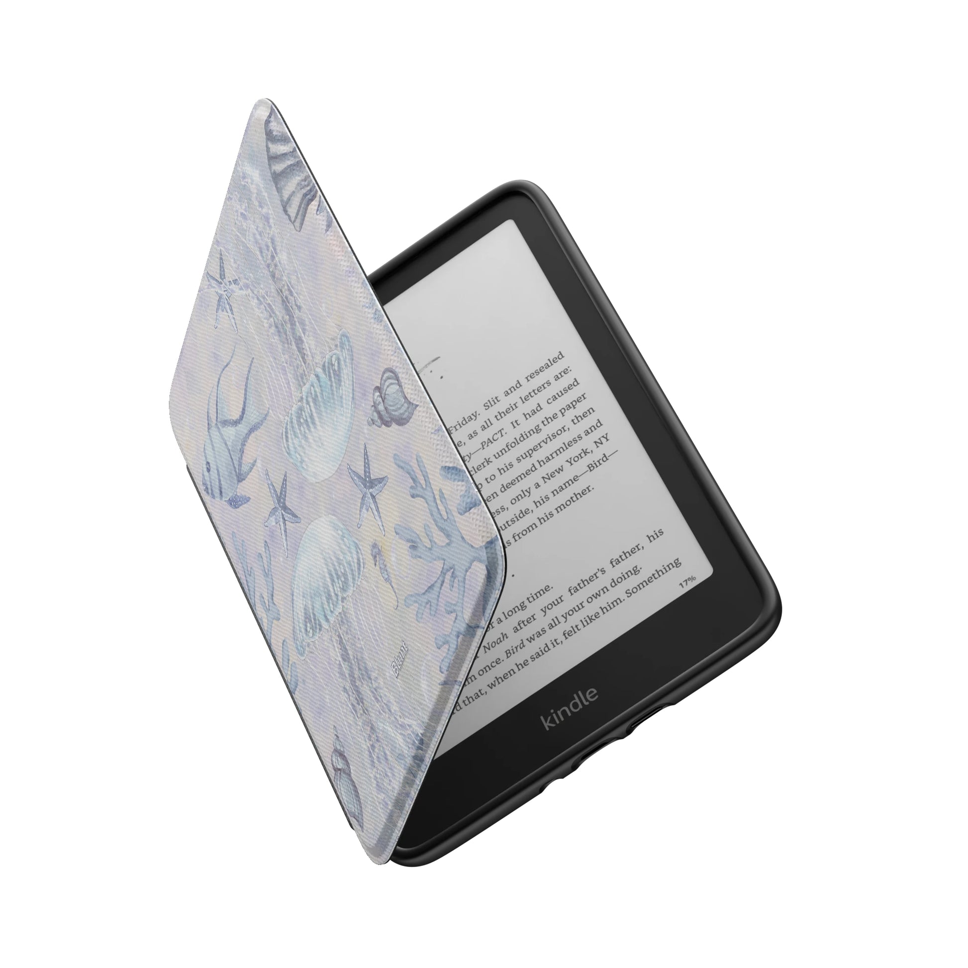Kindle_Standard_6