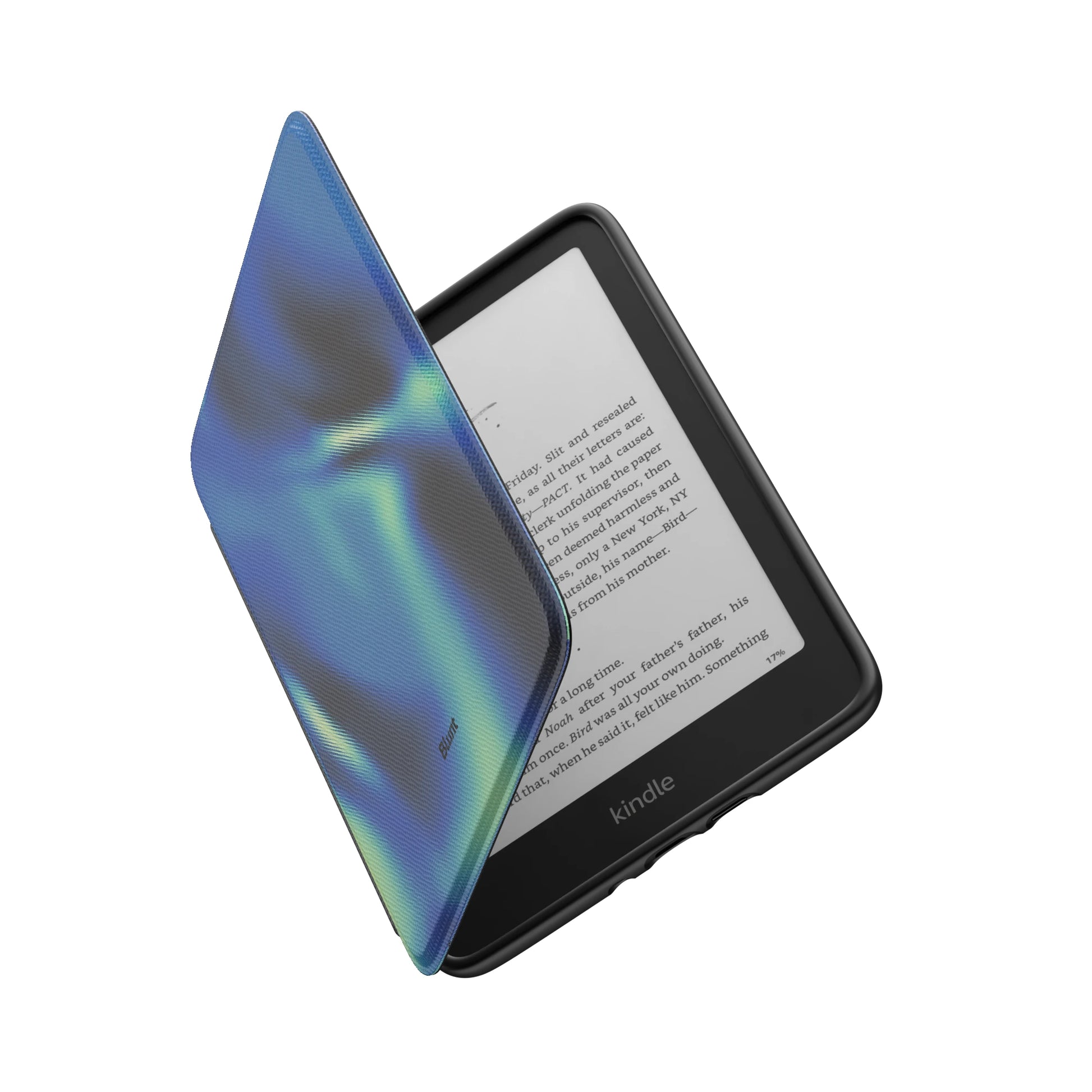 Kindle_Standard_6
