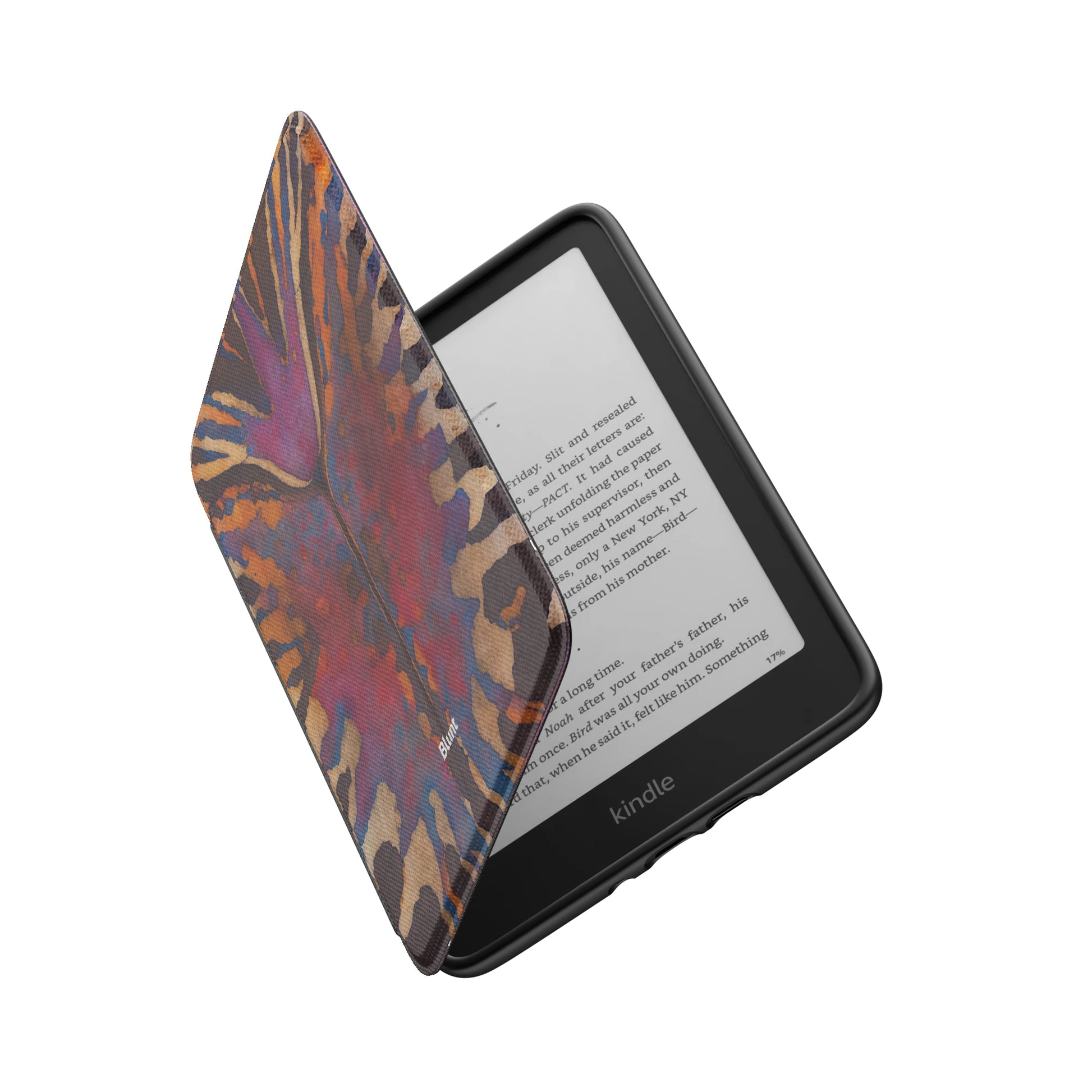Kindle_Standard_6