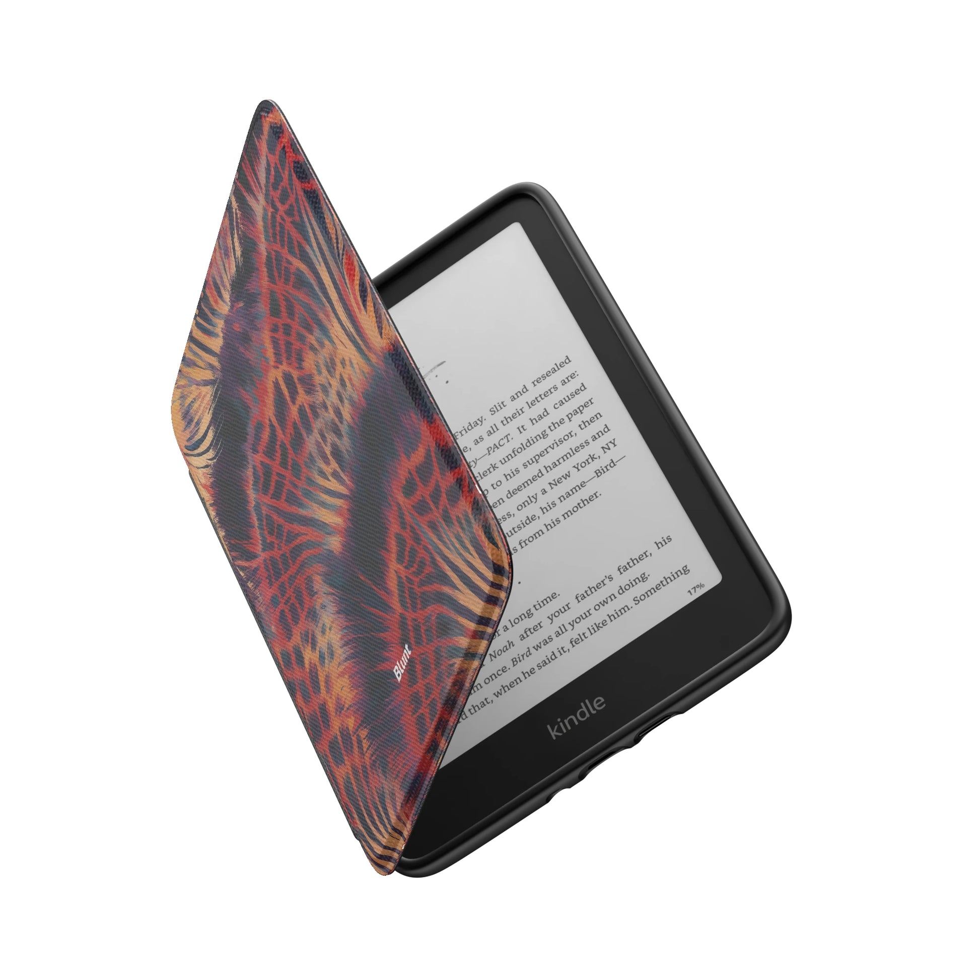 Kindle_Standard_6