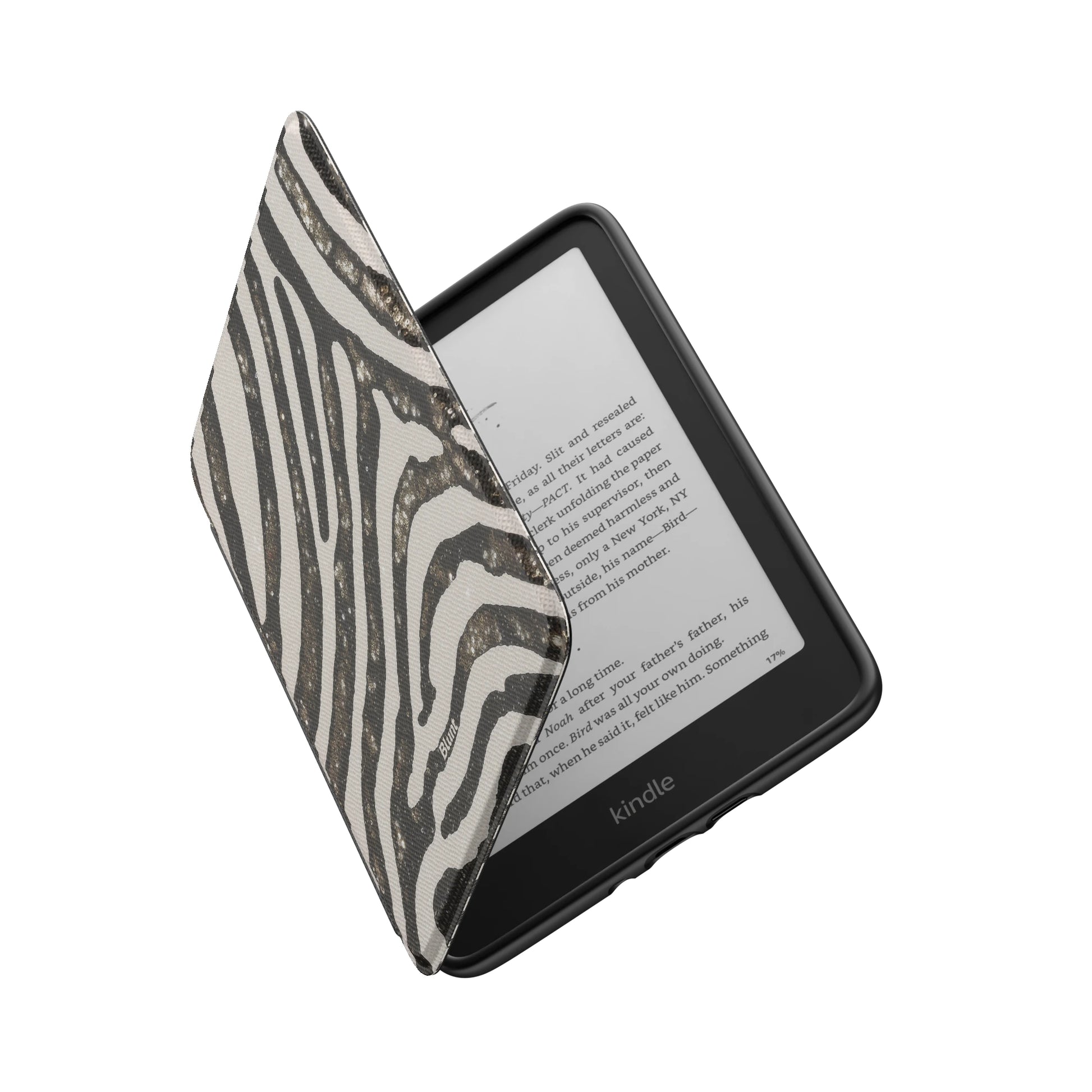 Kindle_Standard_6