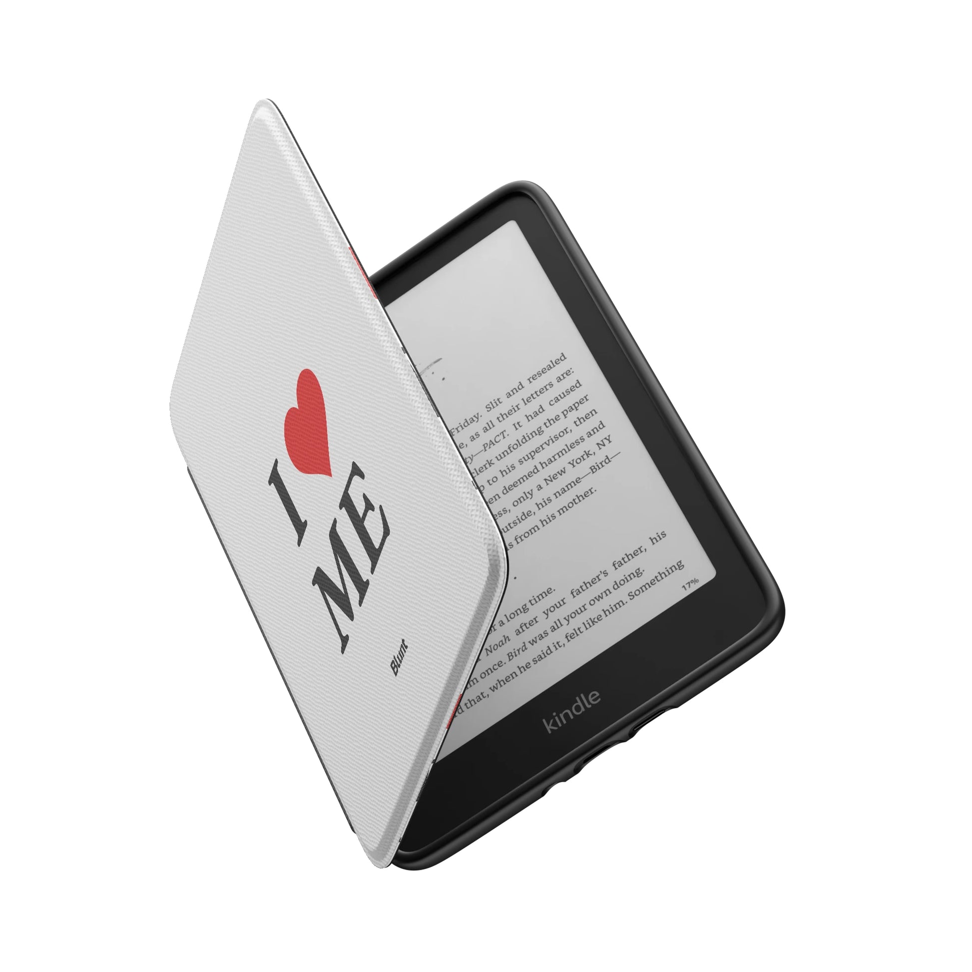 Kindle_Standard_6