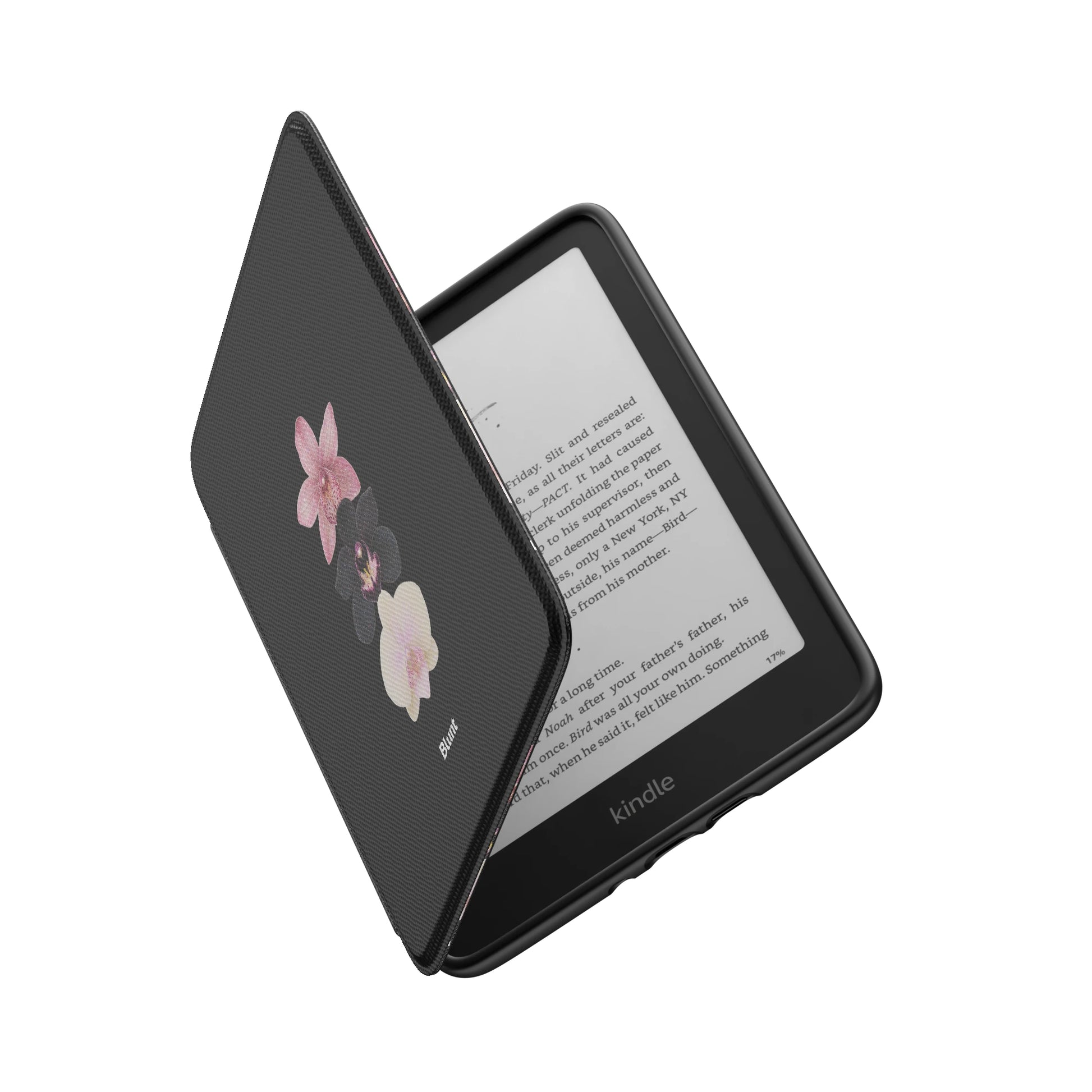 Kindle_Standard_6