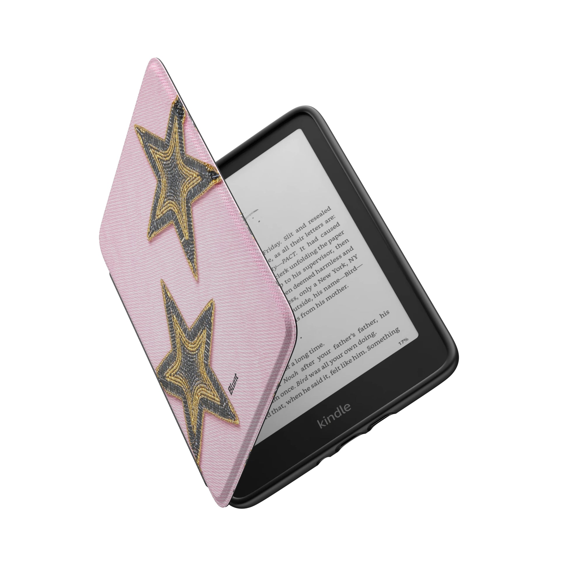 Kindle_Standard_6