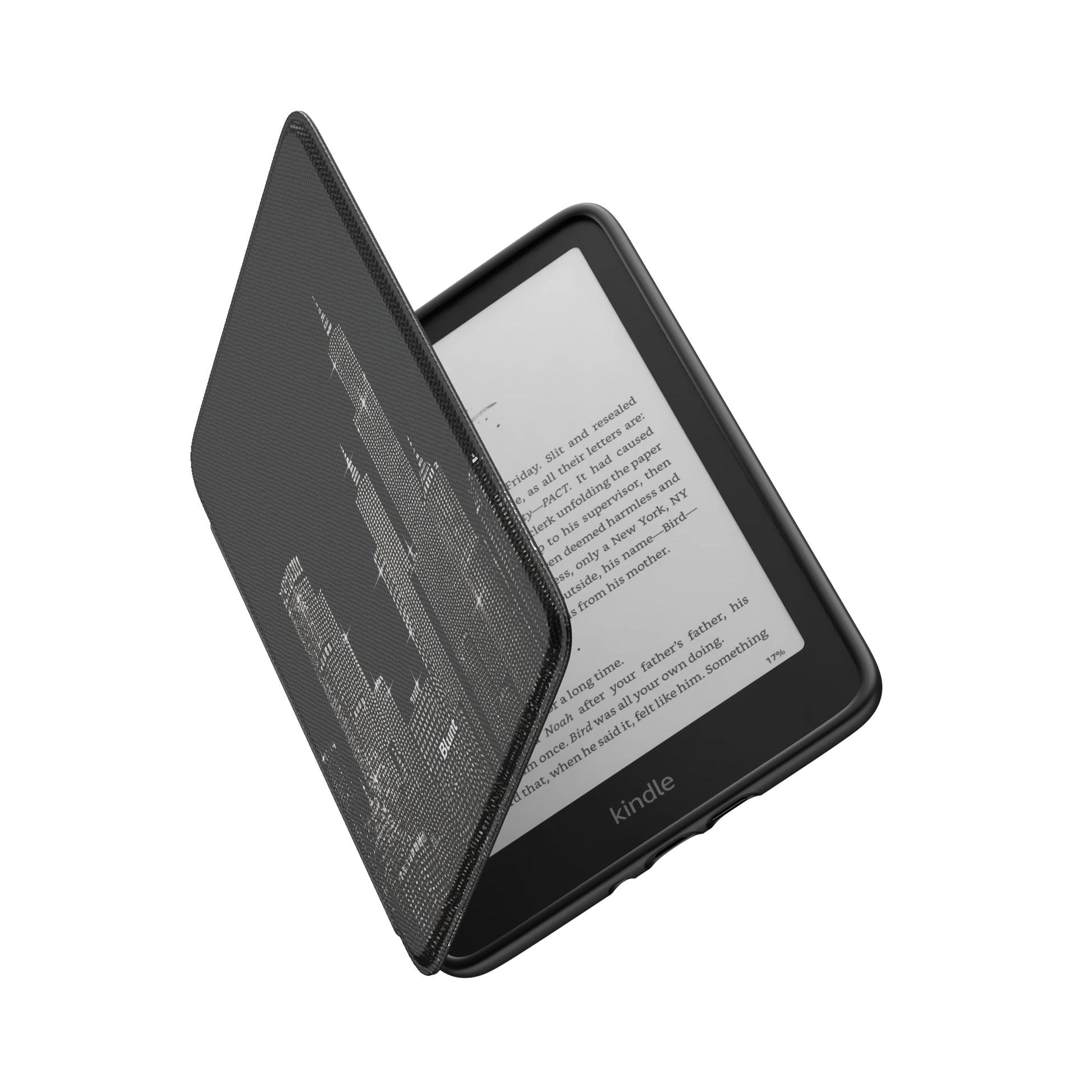 Kindle_Standard_6