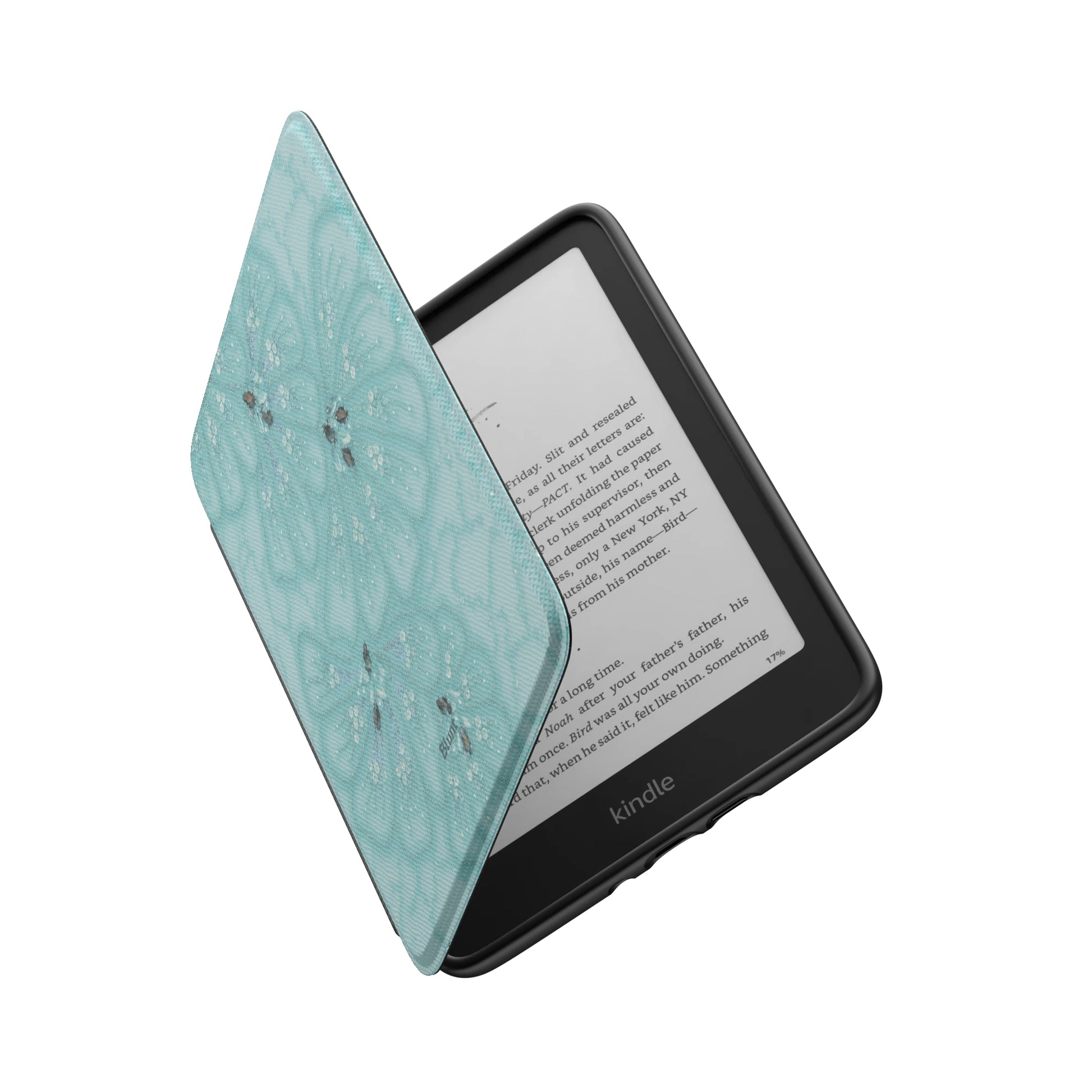 Kindle_Standard_6