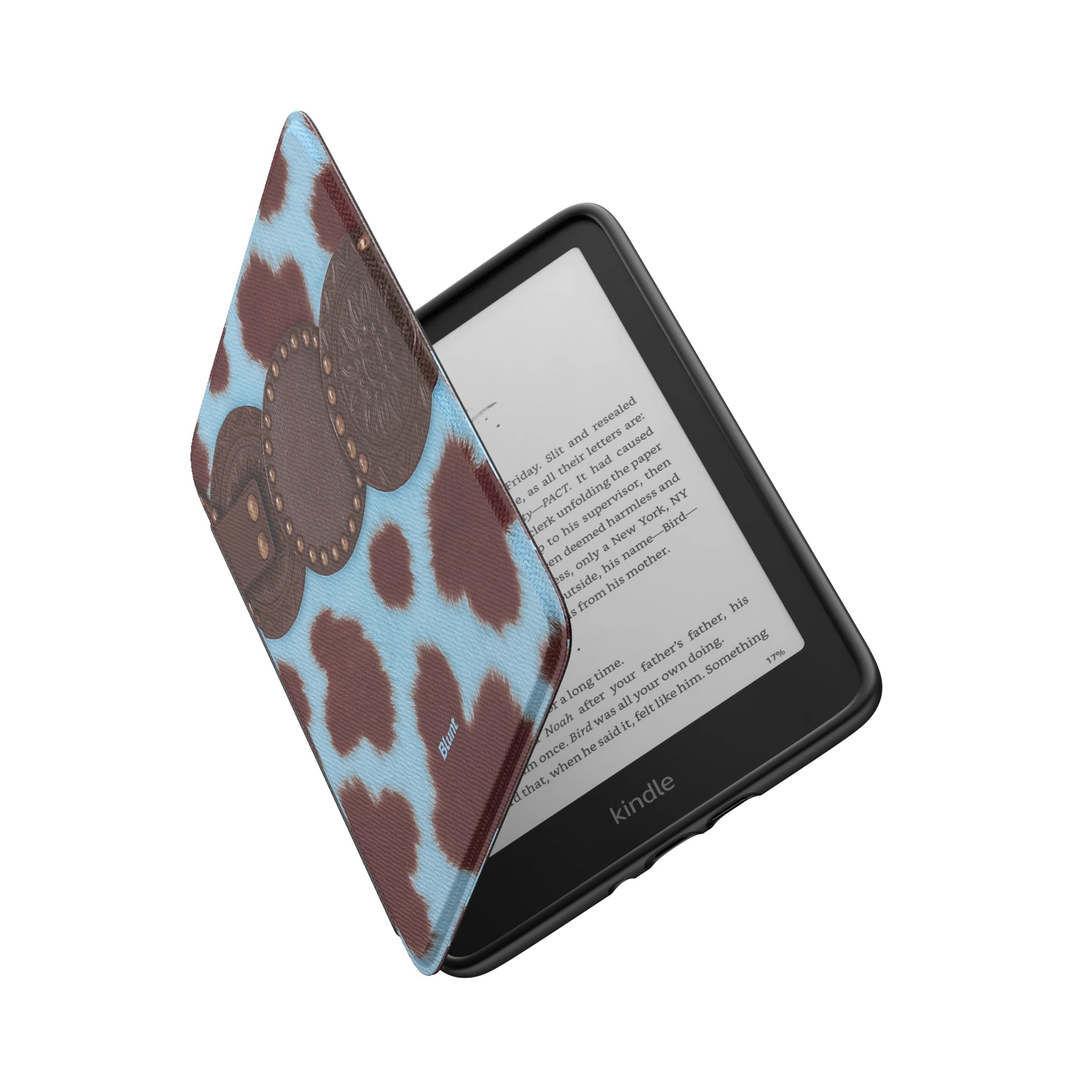 Kindle_Standard_6