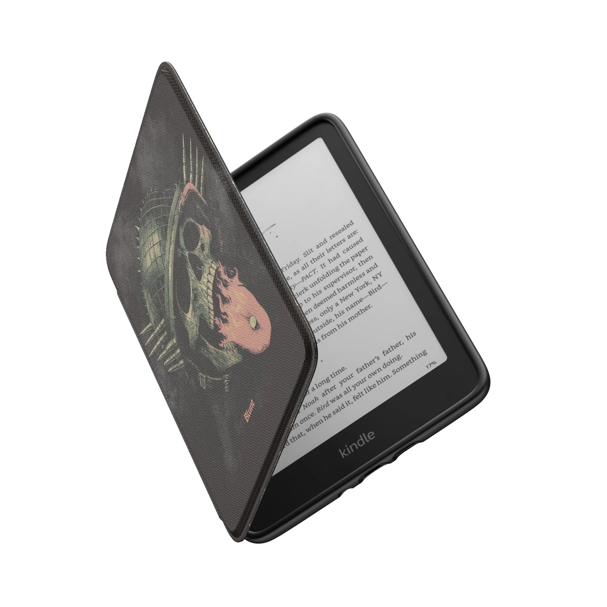 Kindle_Standard_6