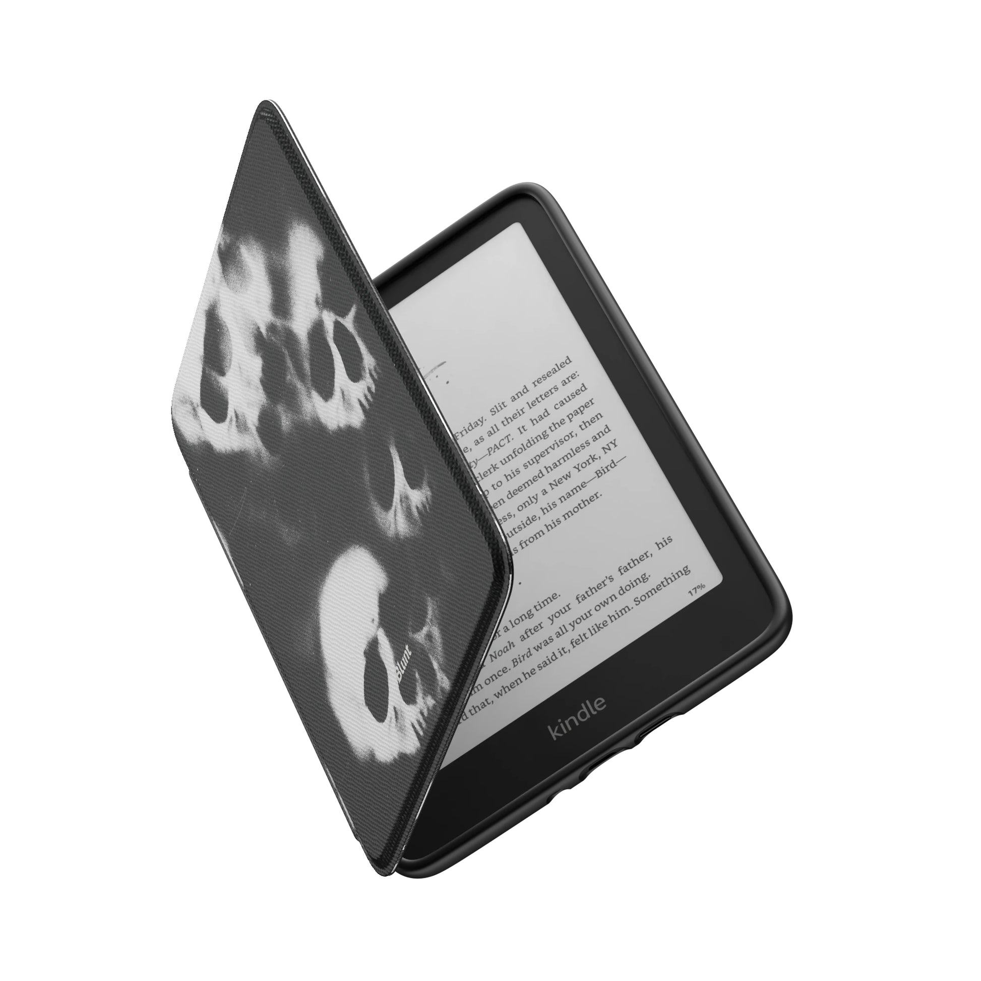 Kindle_Standard_6