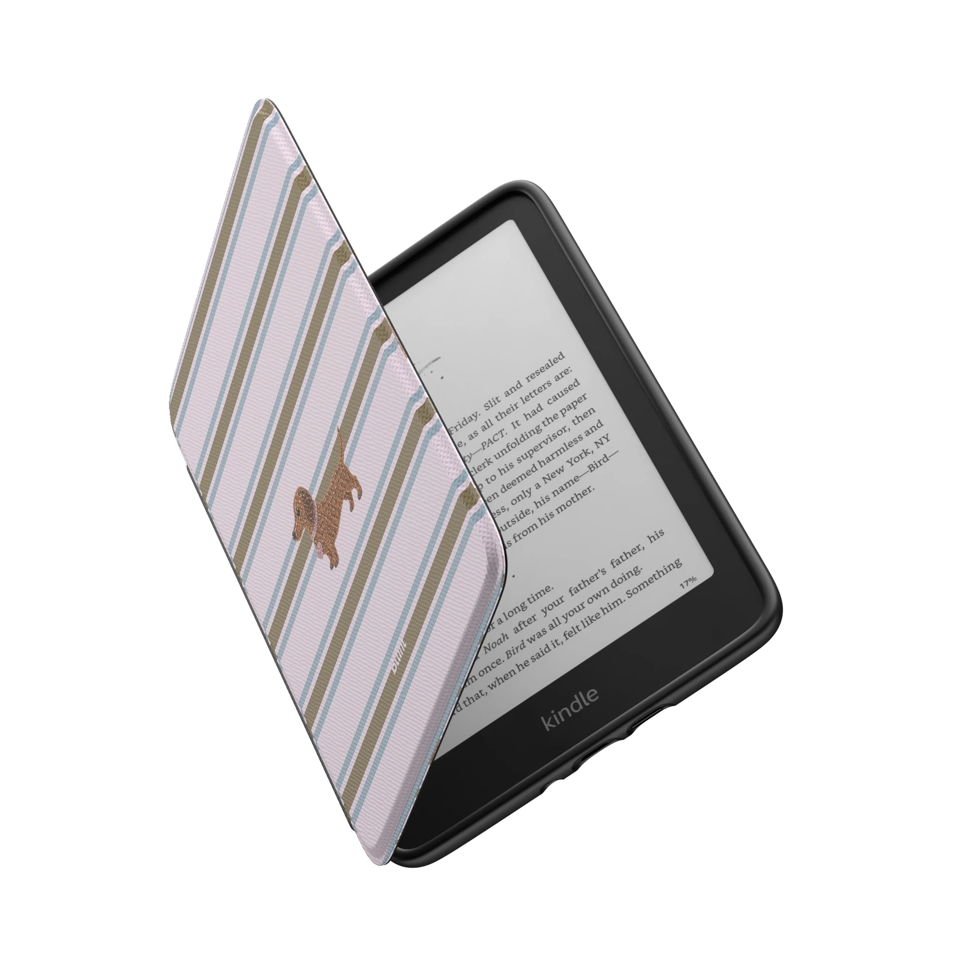 Kindle_Standard_6