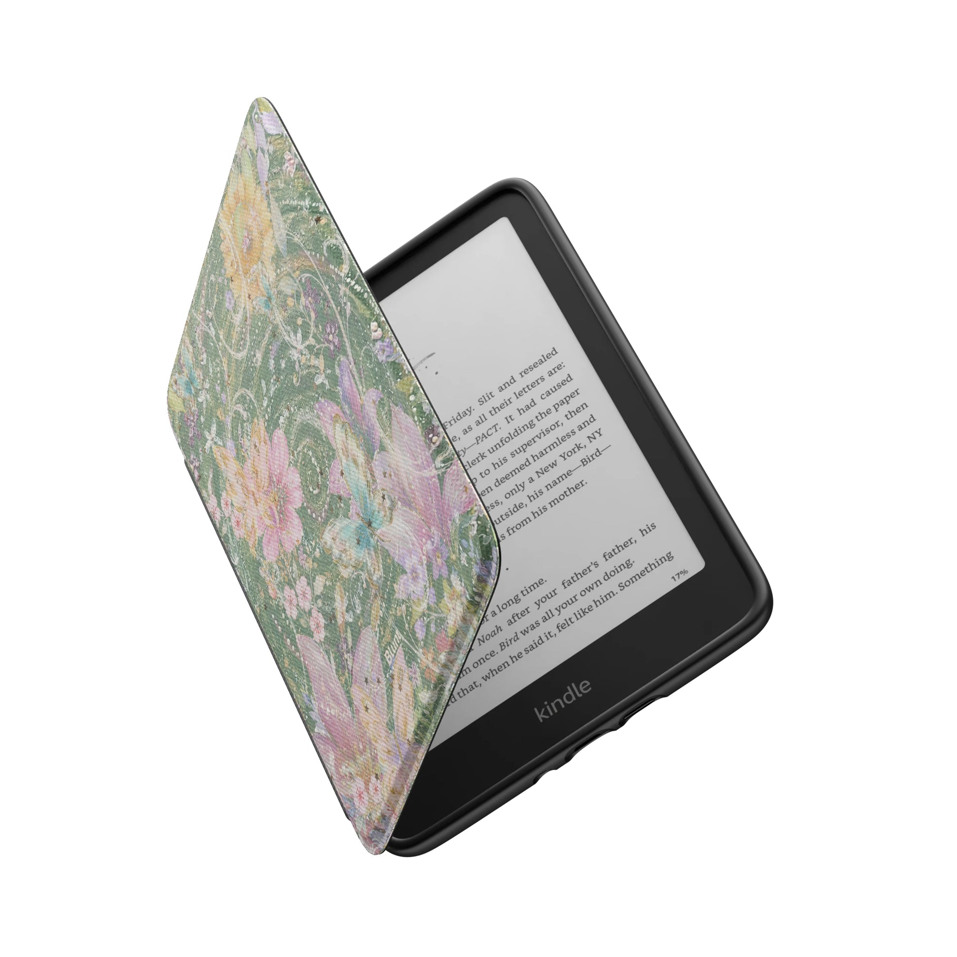 Kindle_Standard_6