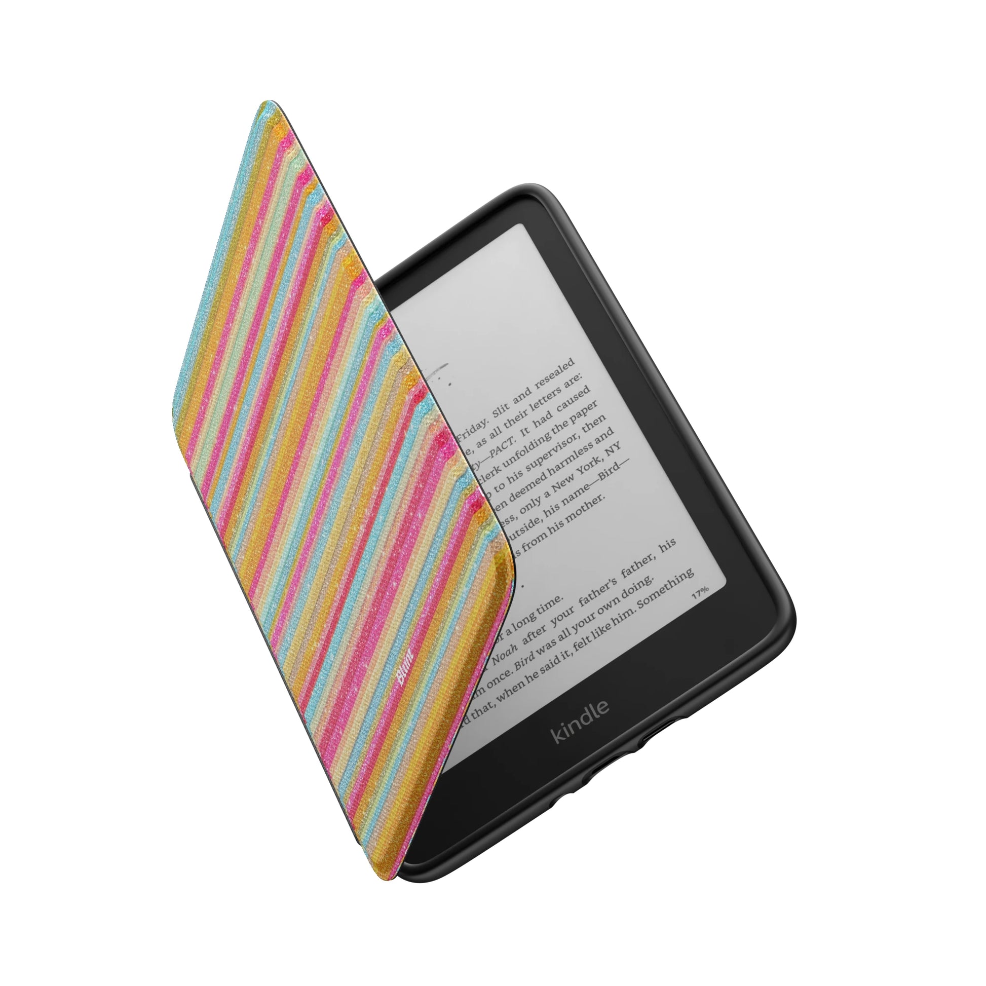 Kindle_Standard_6