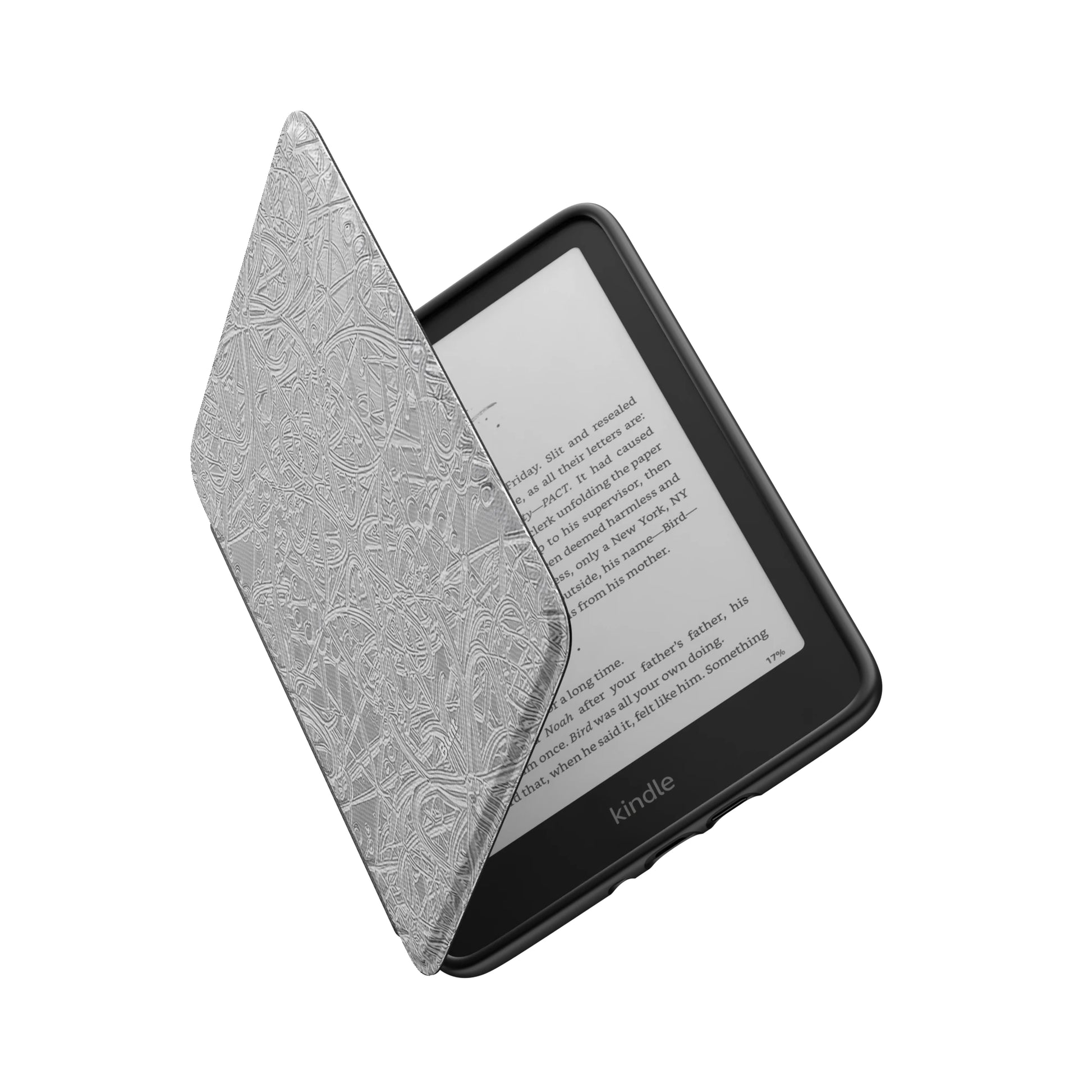 Kindle_Standard_6