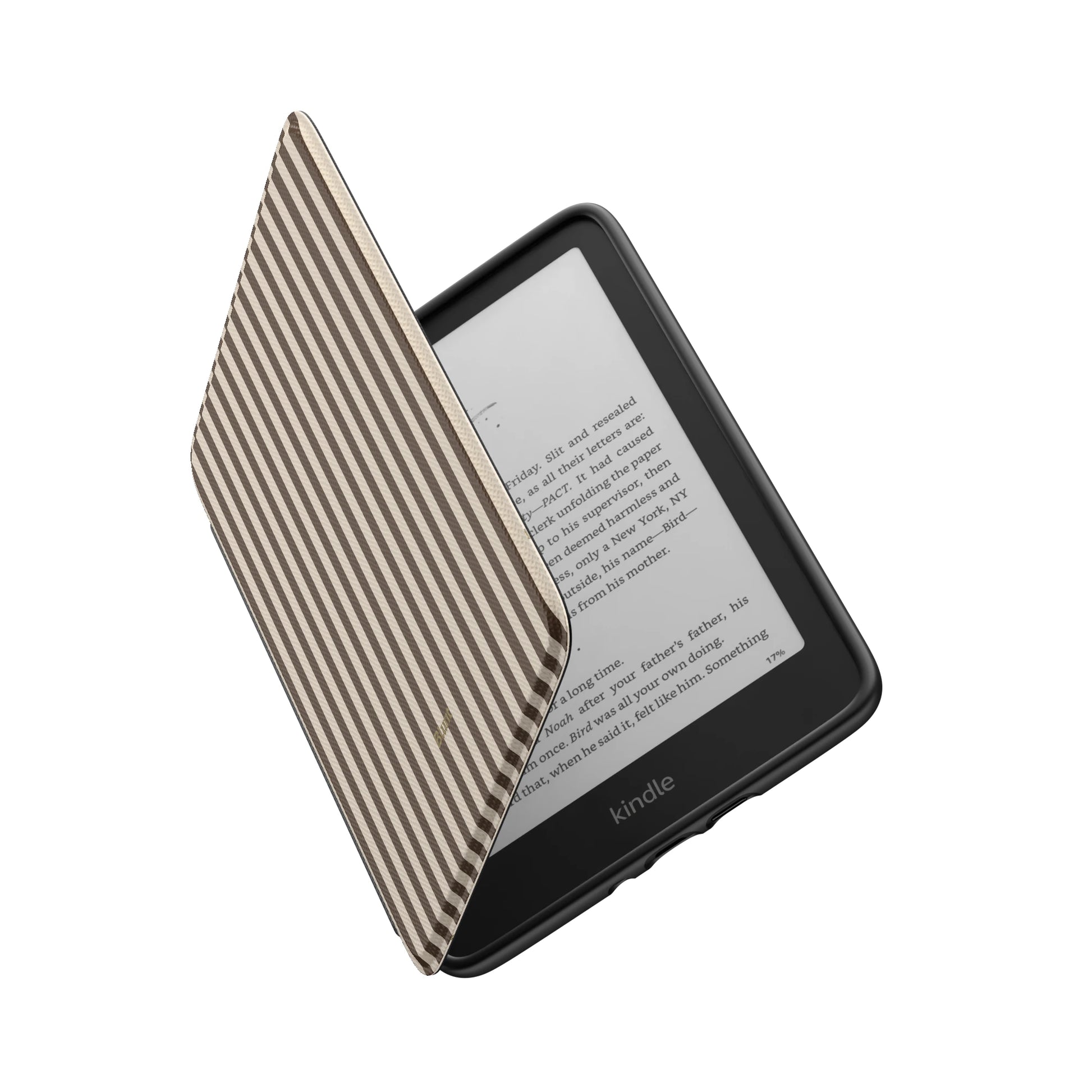 Kindle_Standard_6