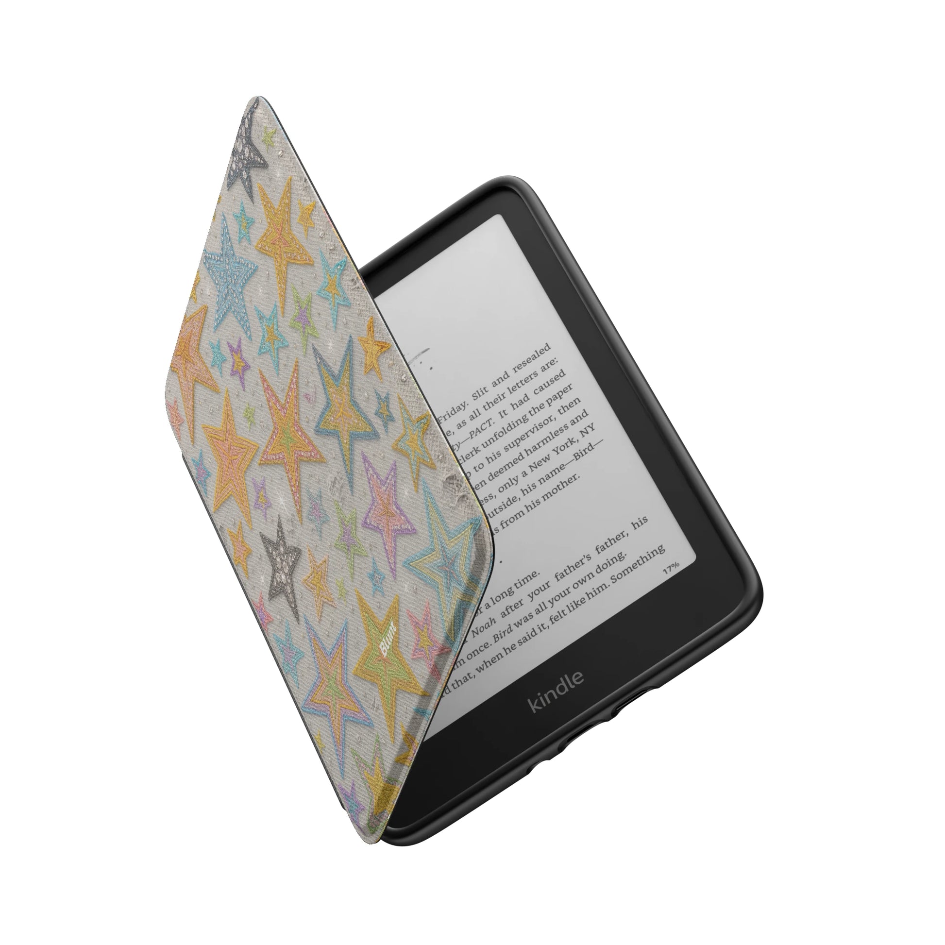 Kindle_Standard_6