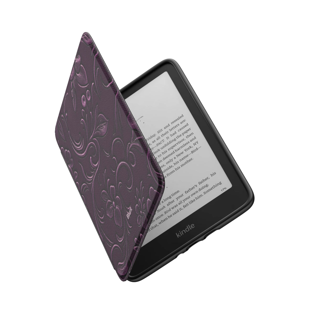 Kindle_Standard_6