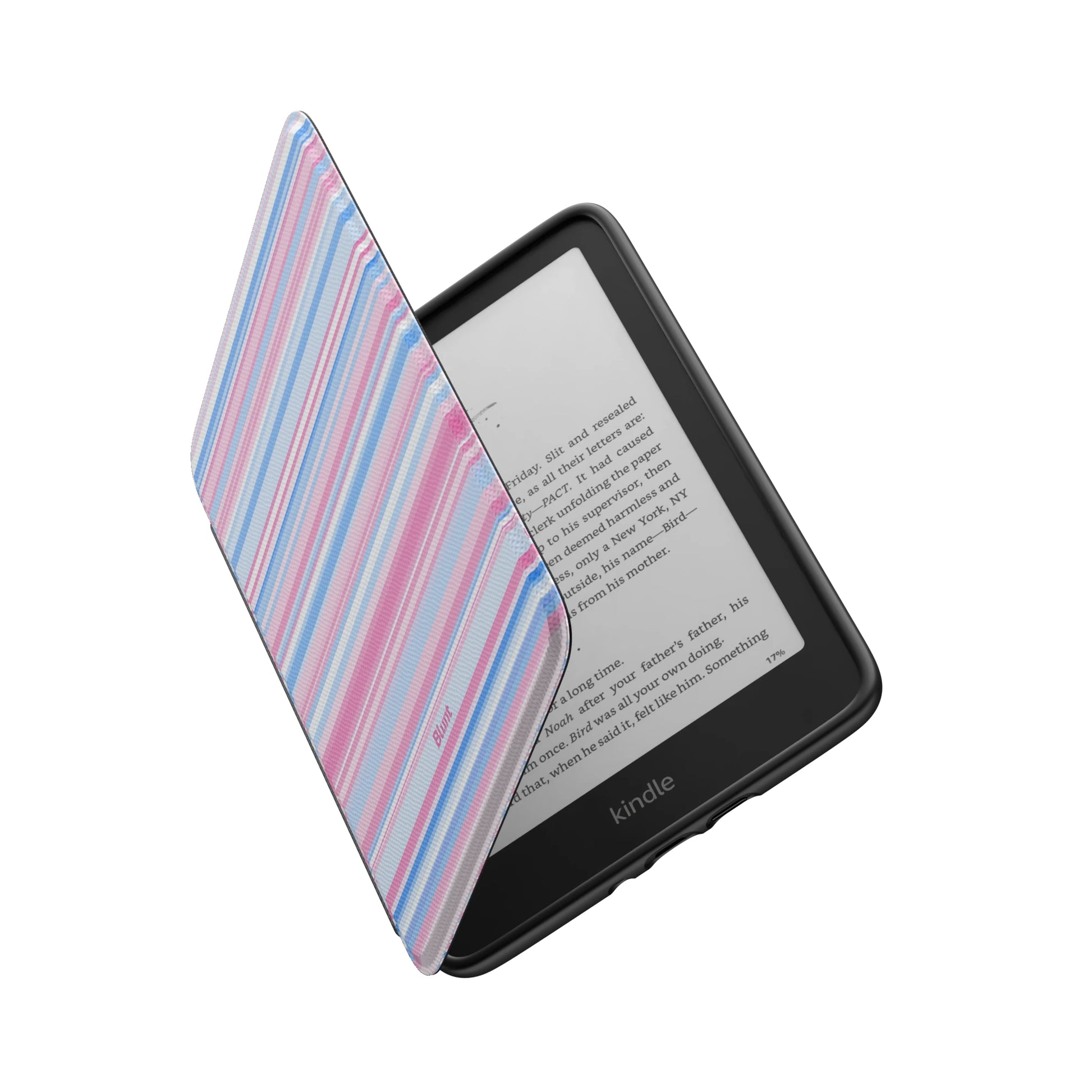 Kindle_Standard_6