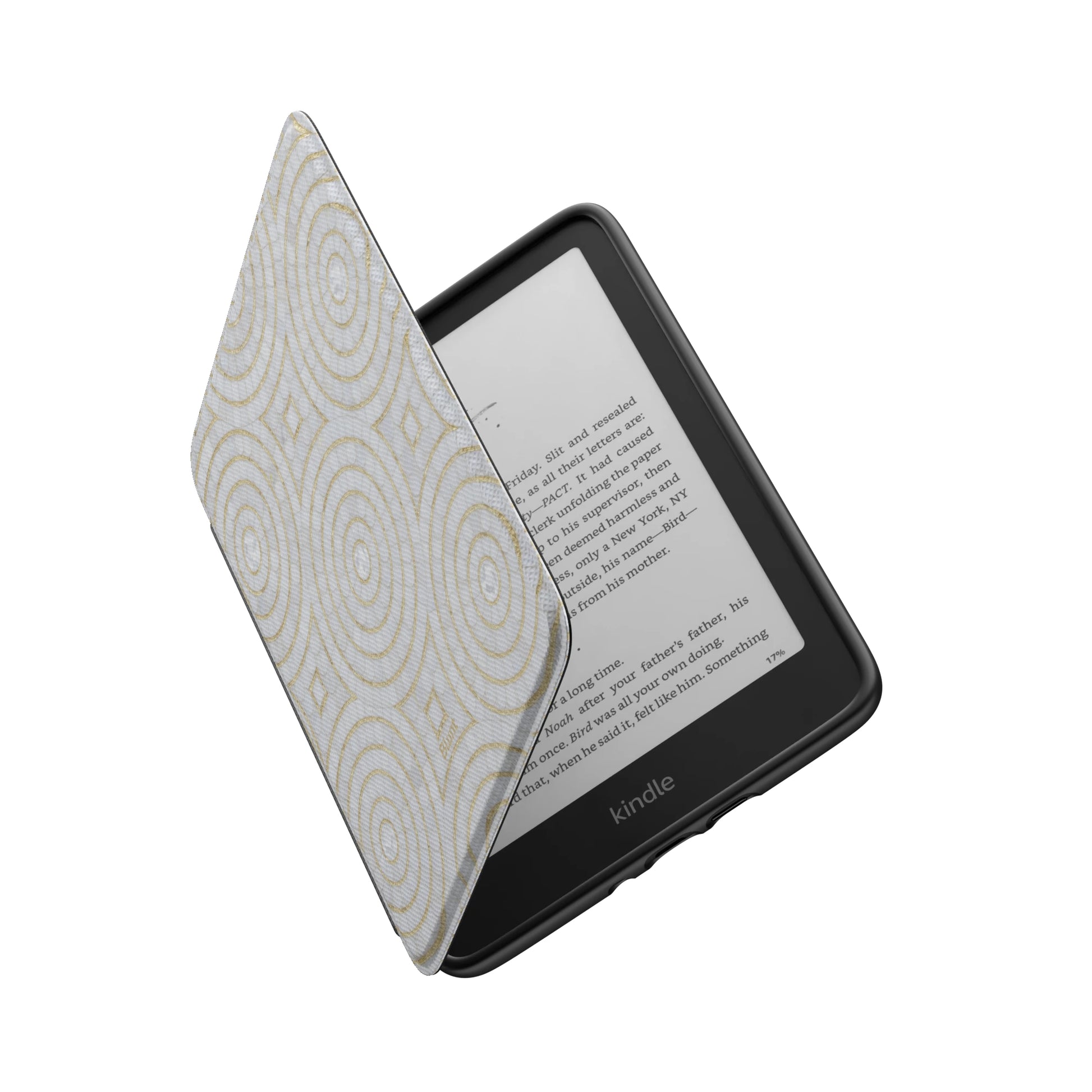 Kindle_Standard_6