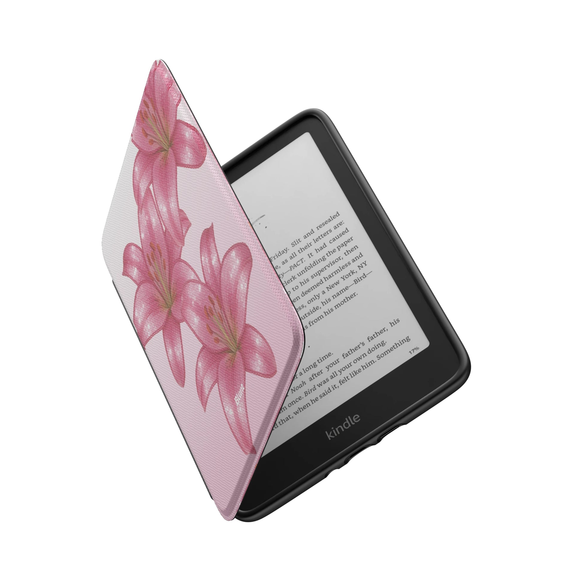 Kindle_Standard_6