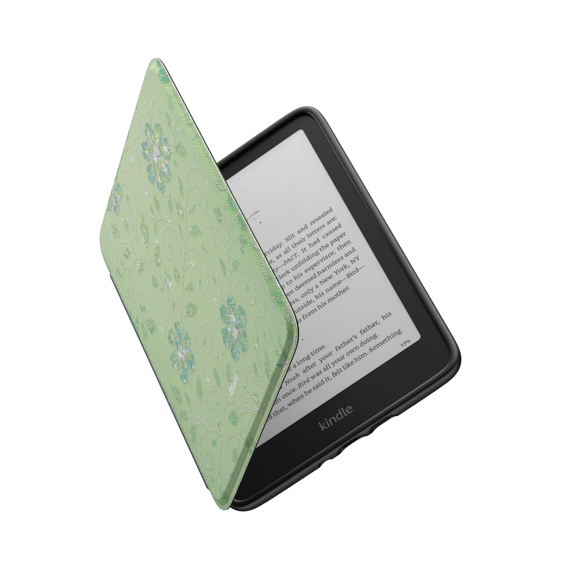 Kindle_Standard_6