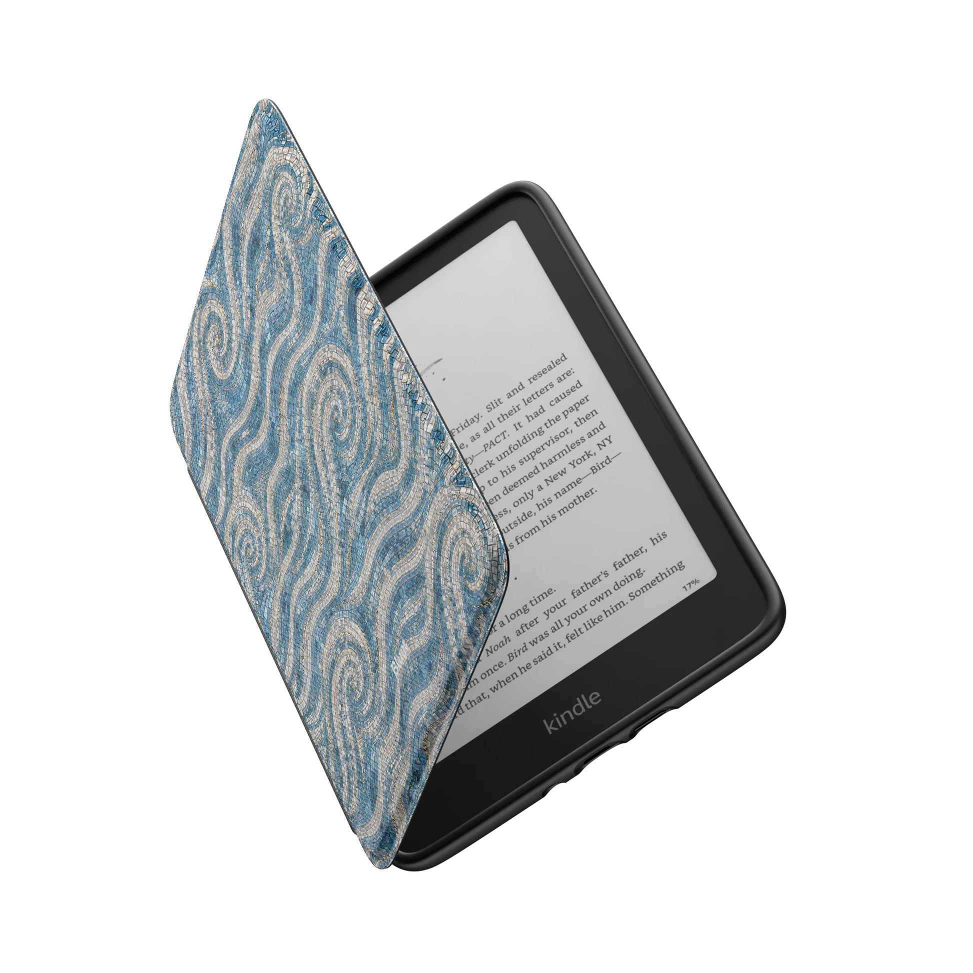 Kindle_Standard_6