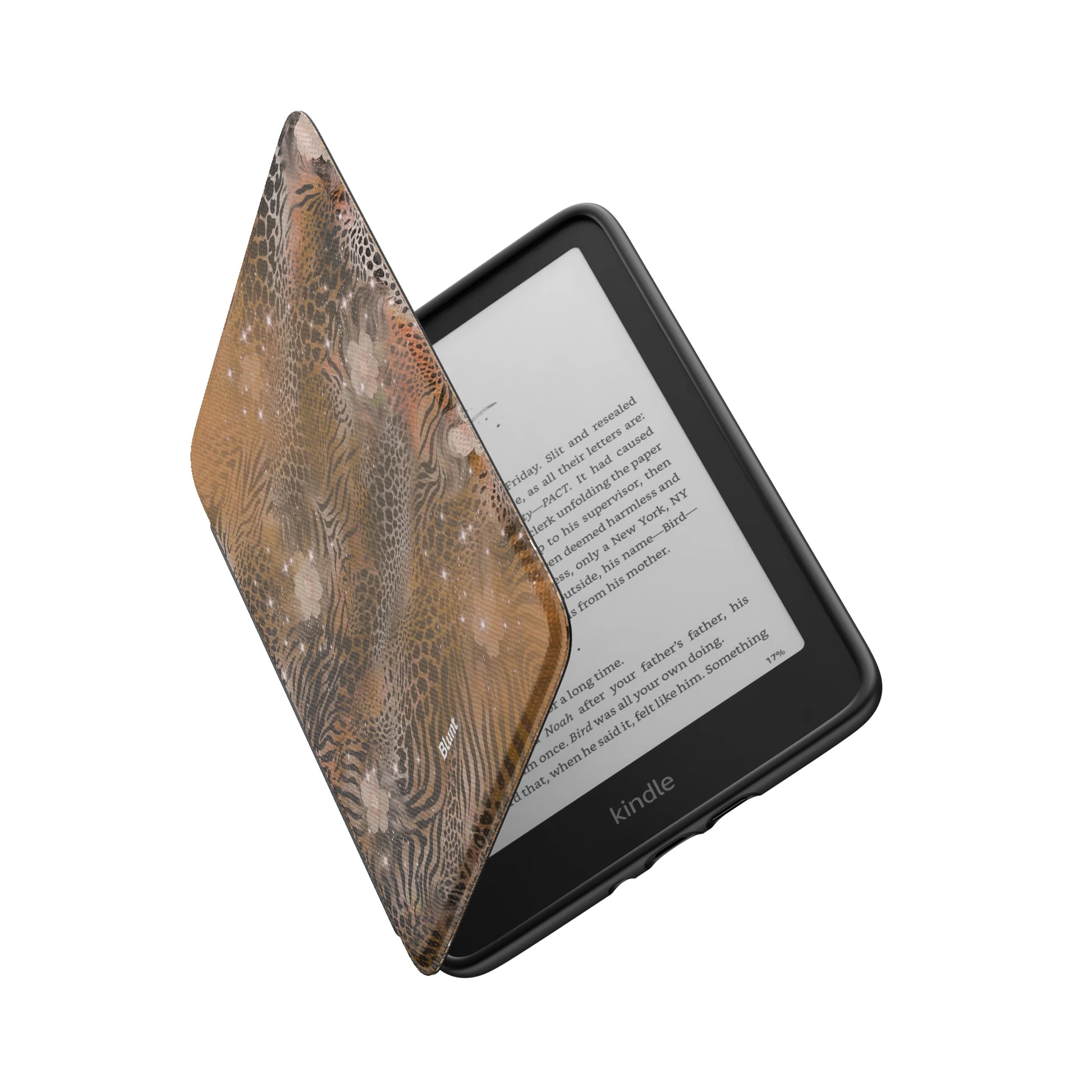 Kindle_Standard_6