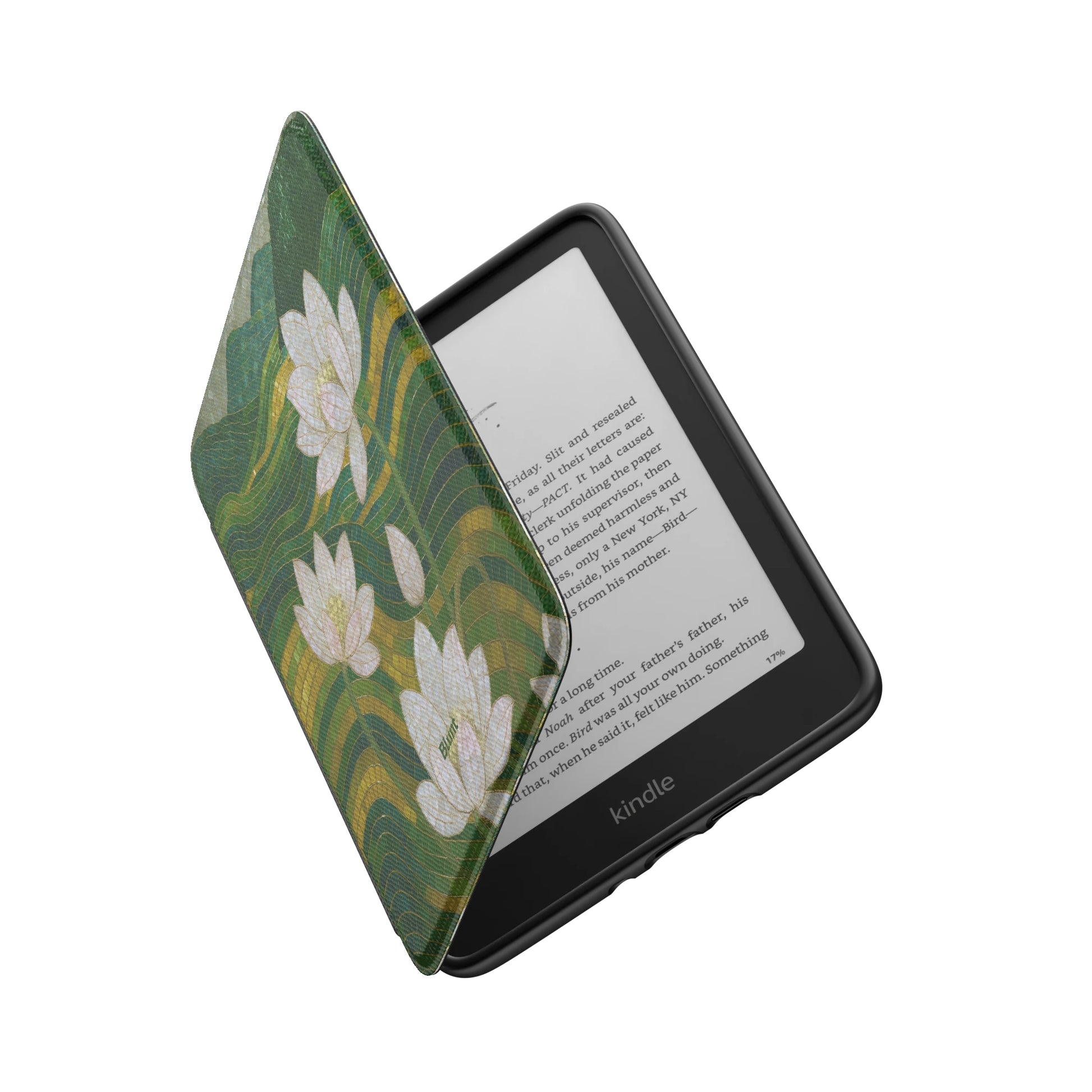 Kindle_Standard_6