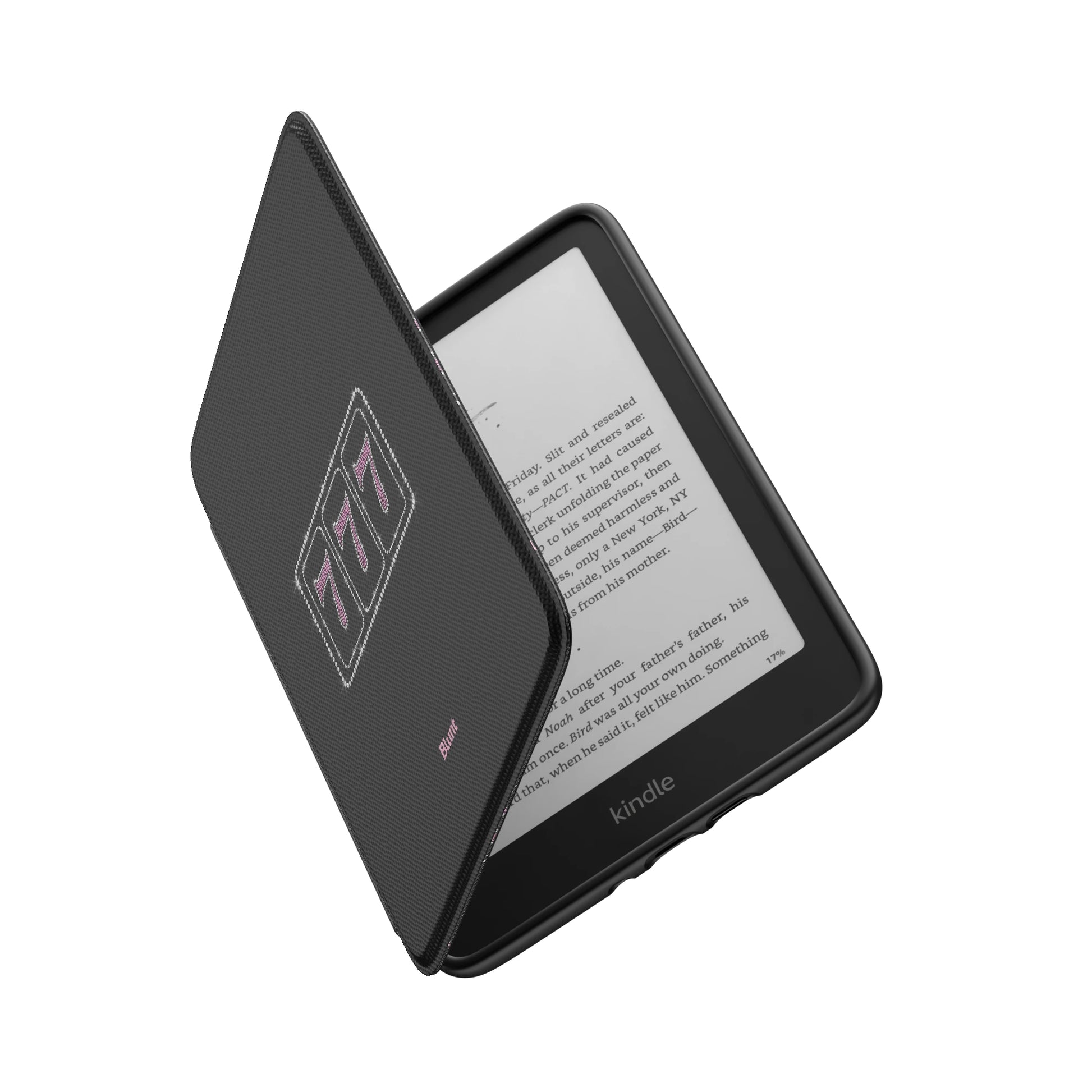 Kindle_Standard_6