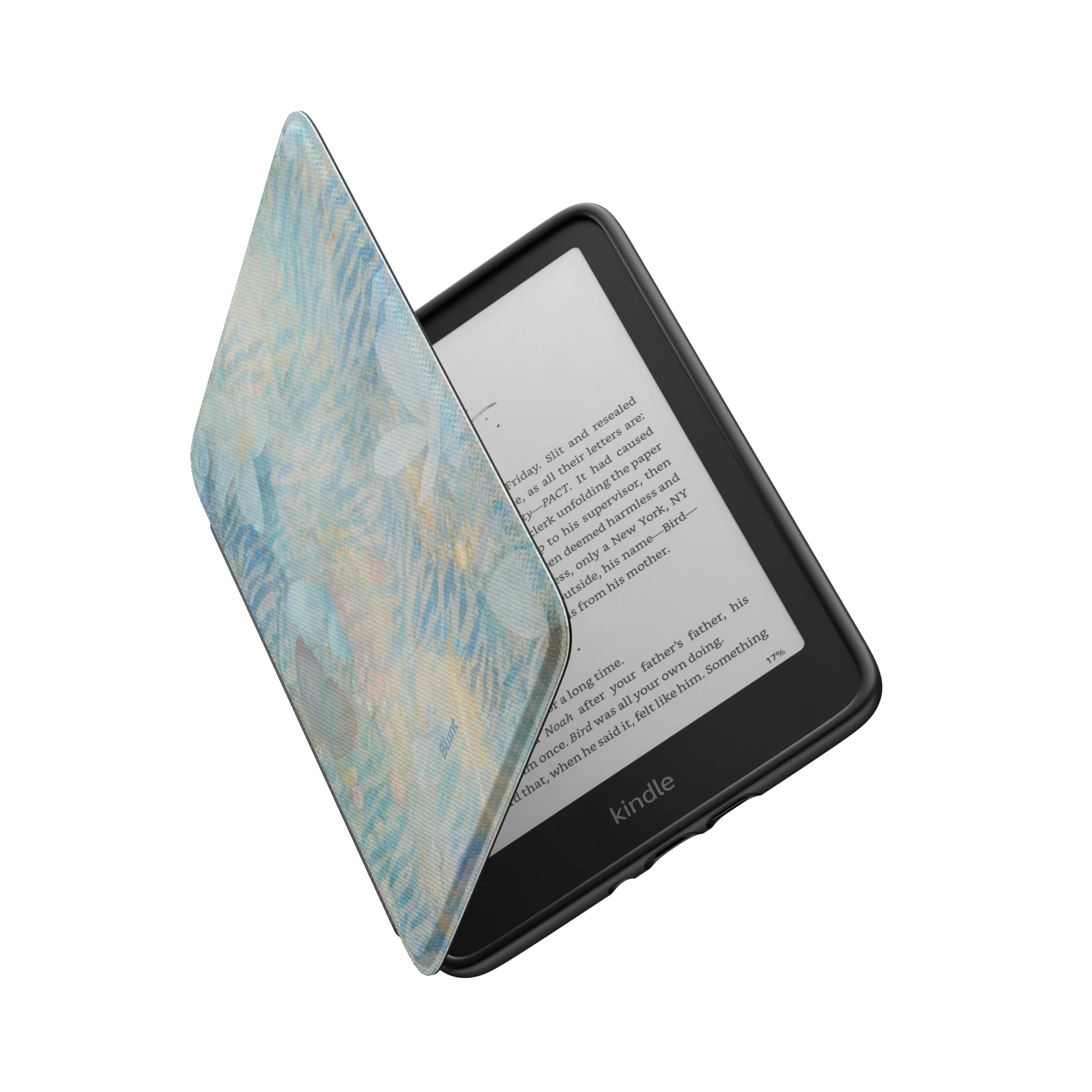 Kindle_Standard_6