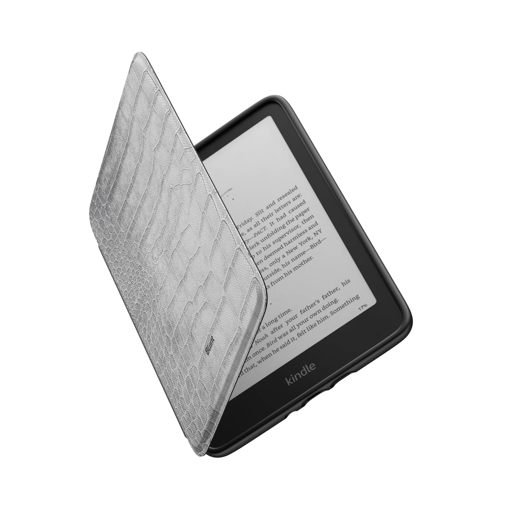 Kindle_Standard_6