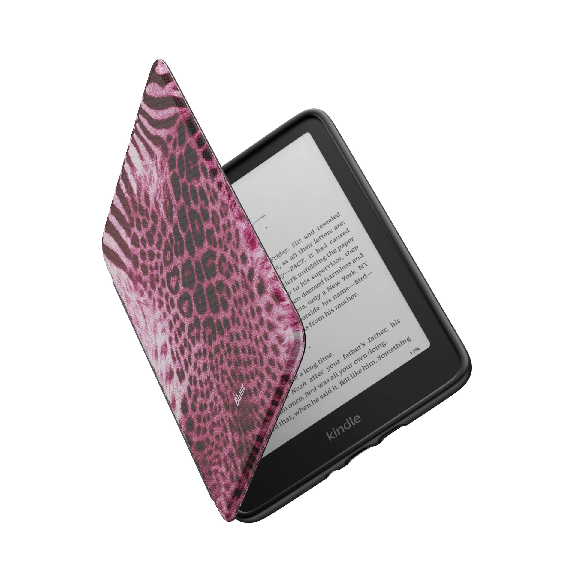 Kindle_Standard_6