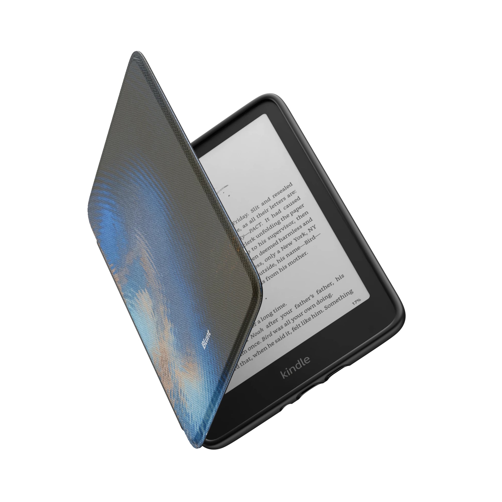 Kindle_Standard_6