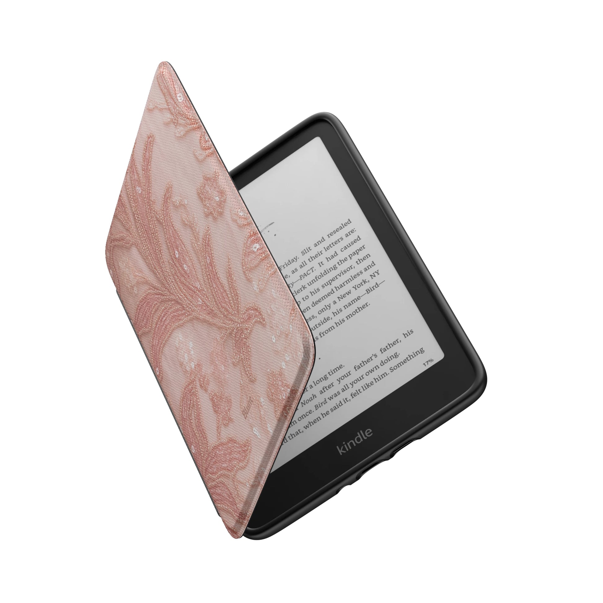 Kindle_Standard_6