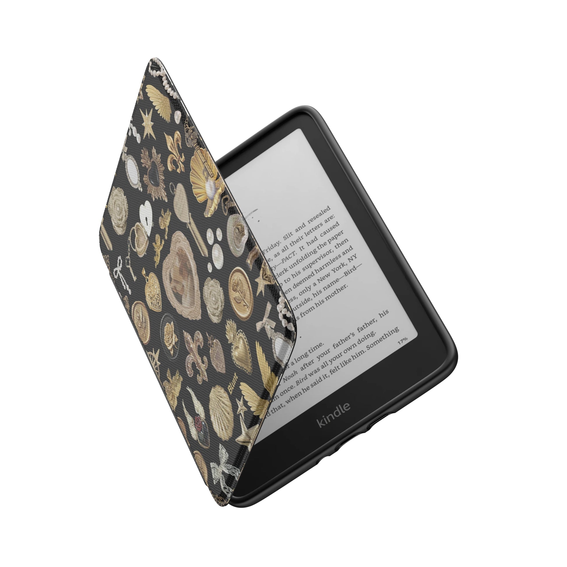 Kindle_Standard_6