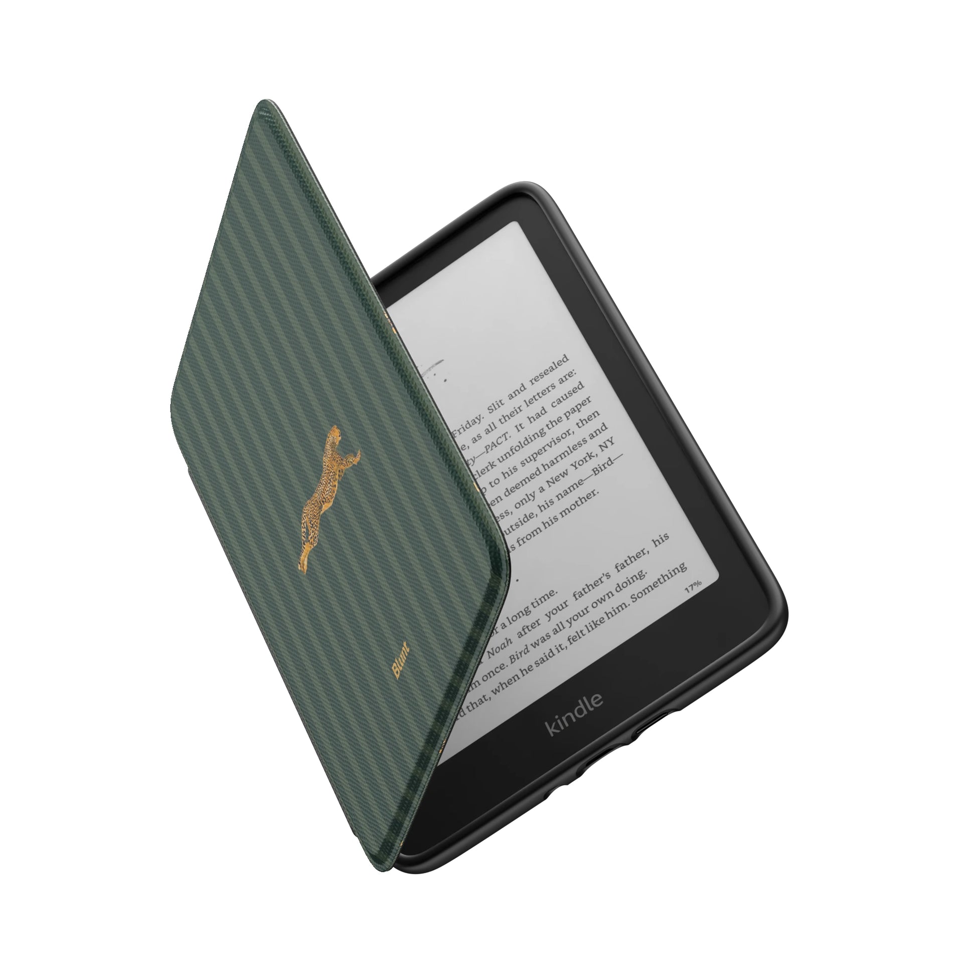 Kindle_Standard_6