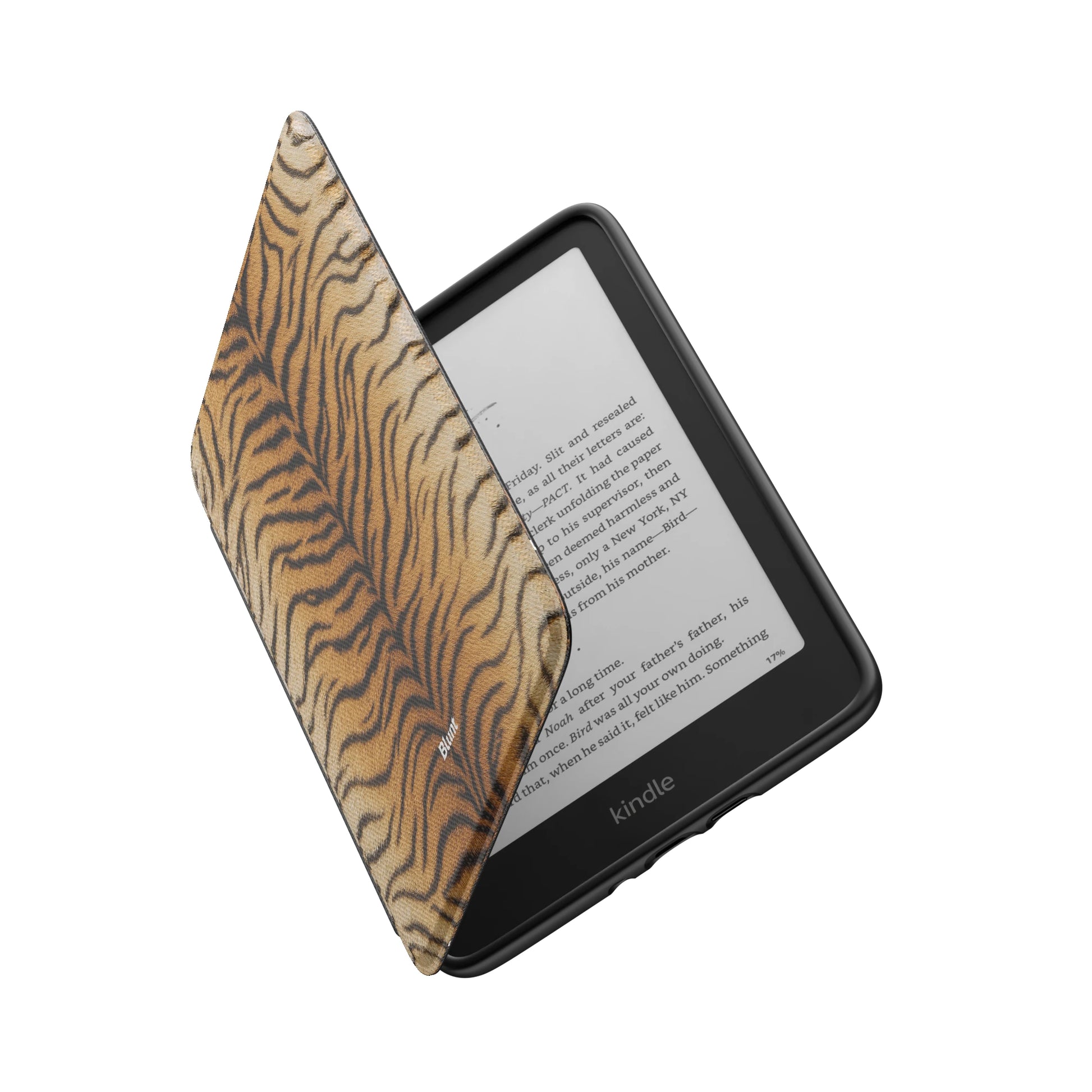 Kindle_Standard_6