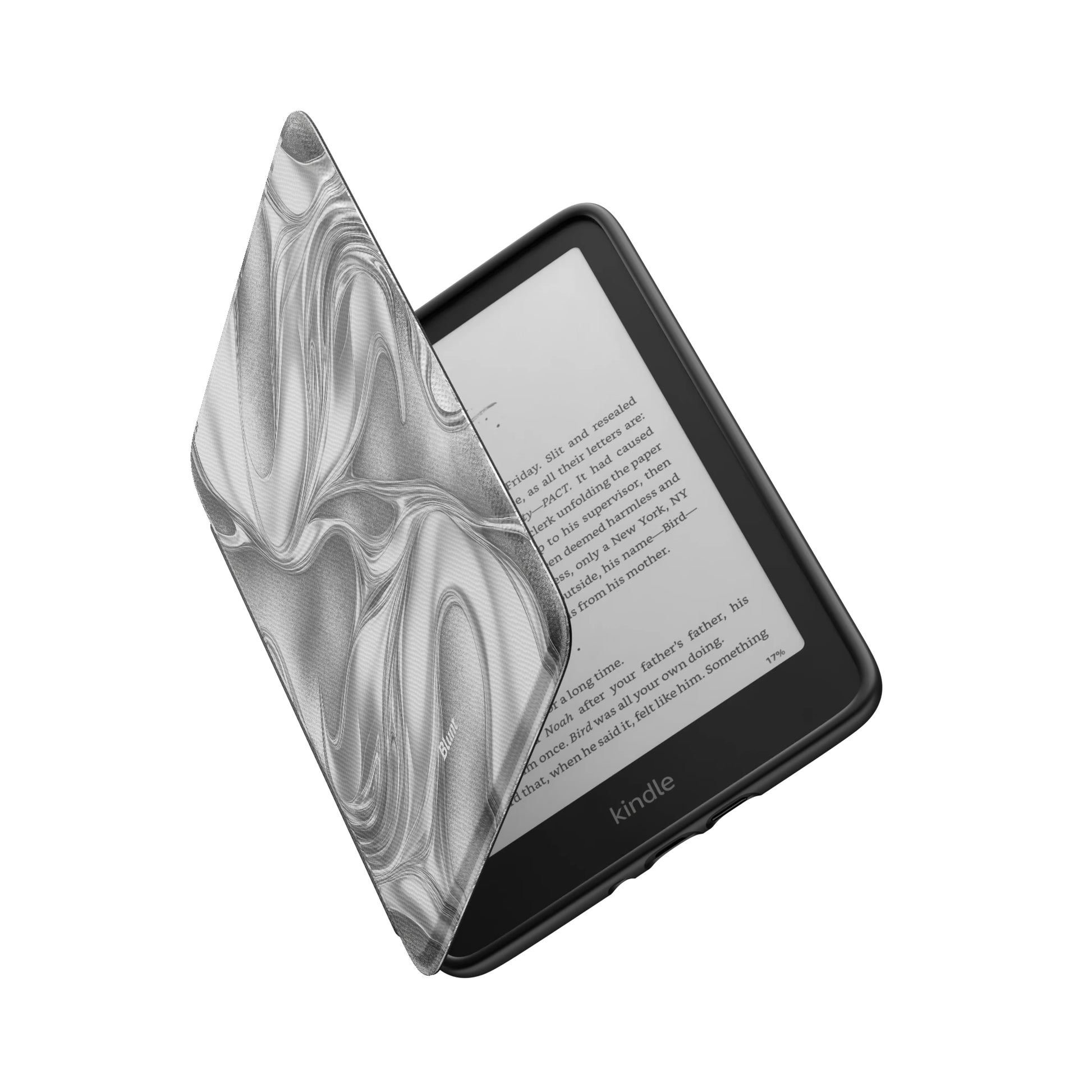 Kindle_Standard_6