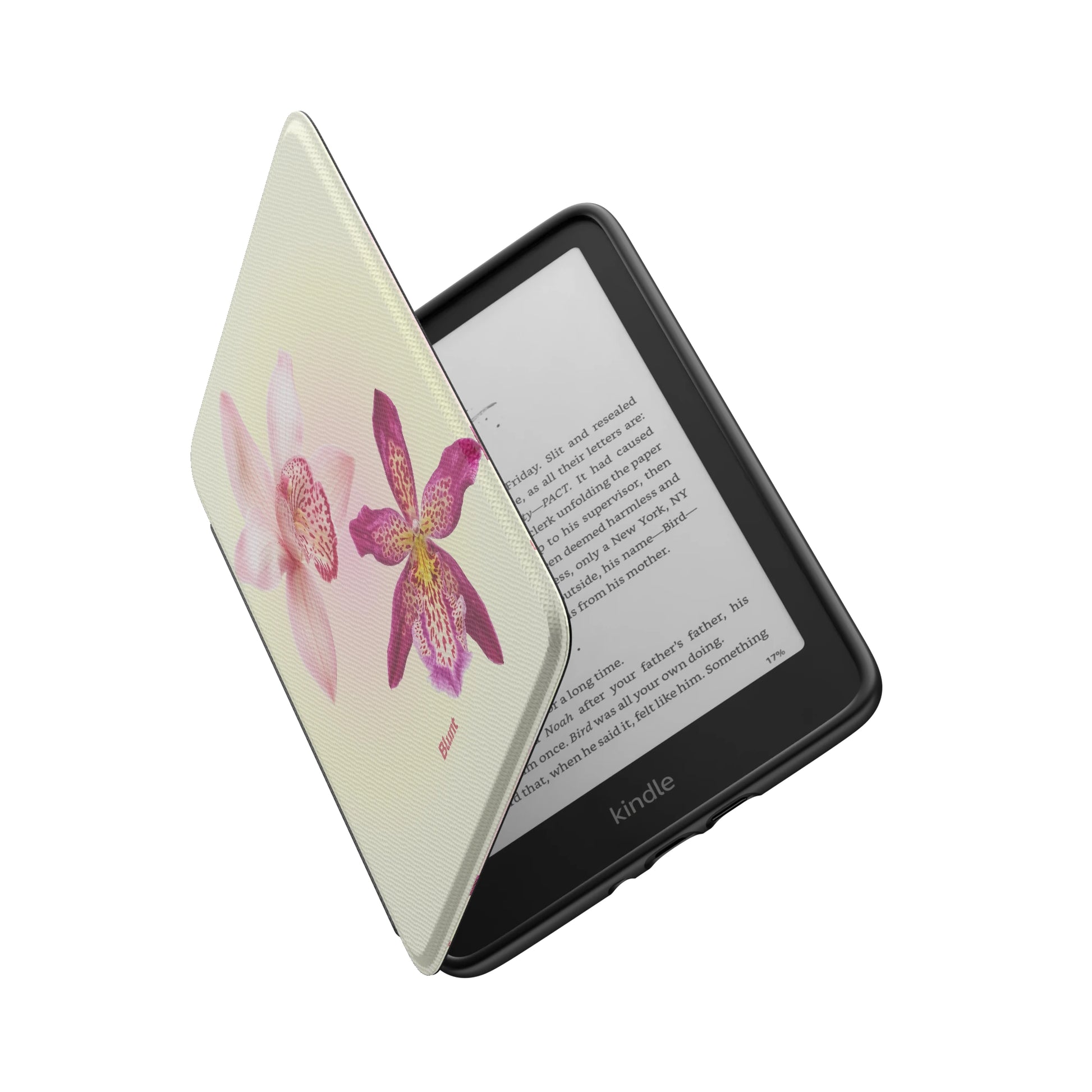 Kindle_Standard_6