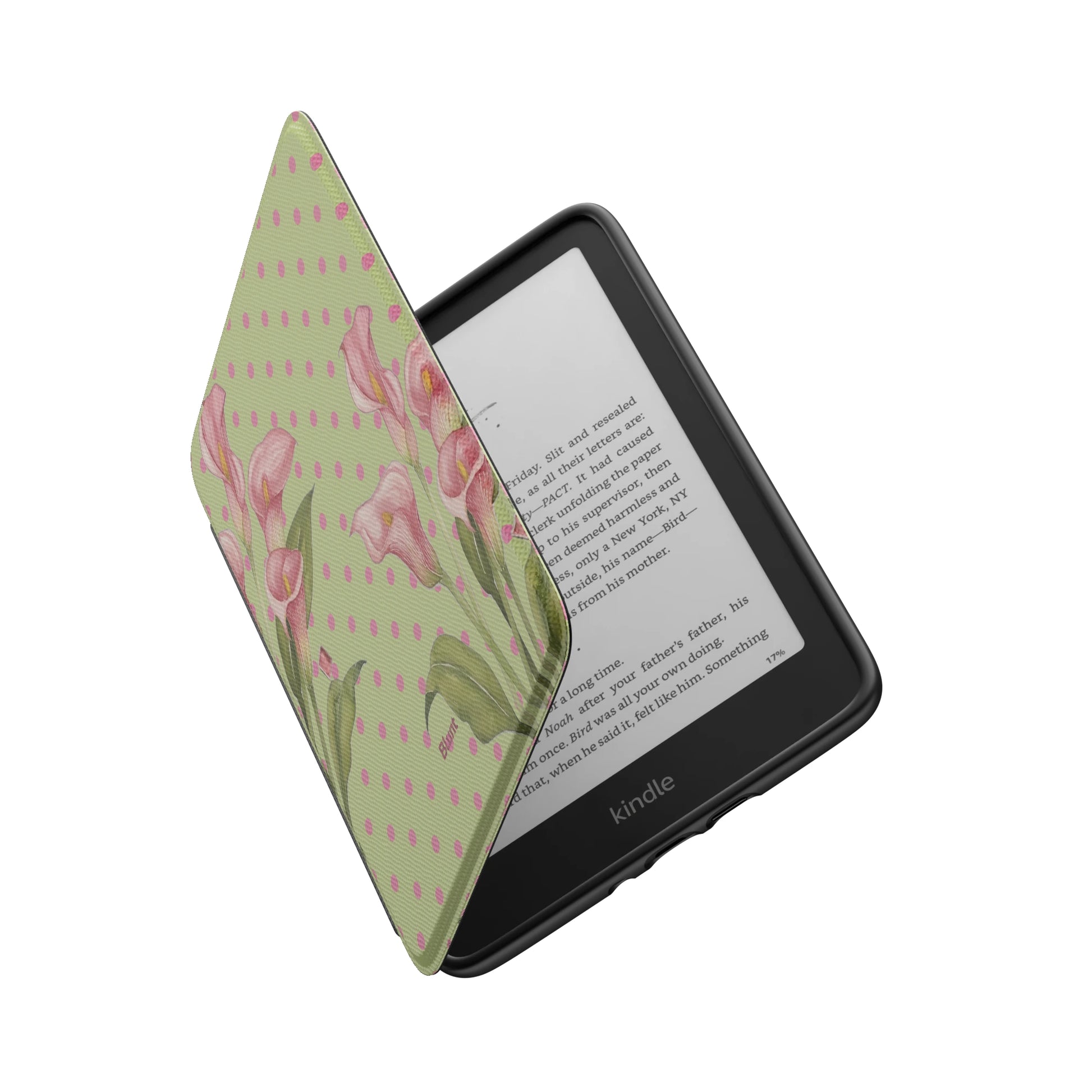 Kindle_Standard_6