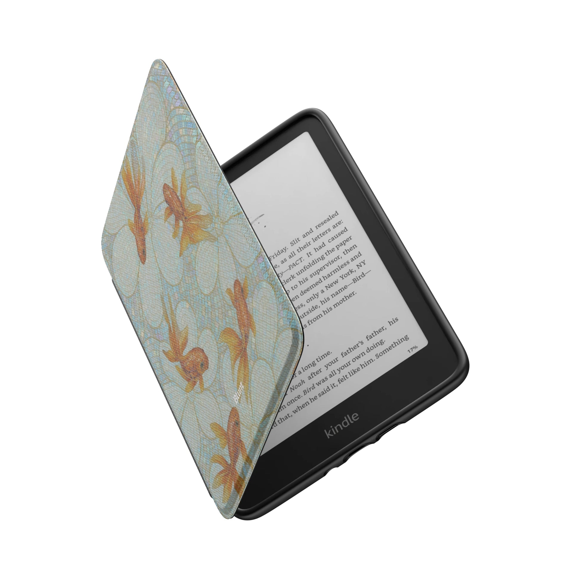 Kindle_Standard_6