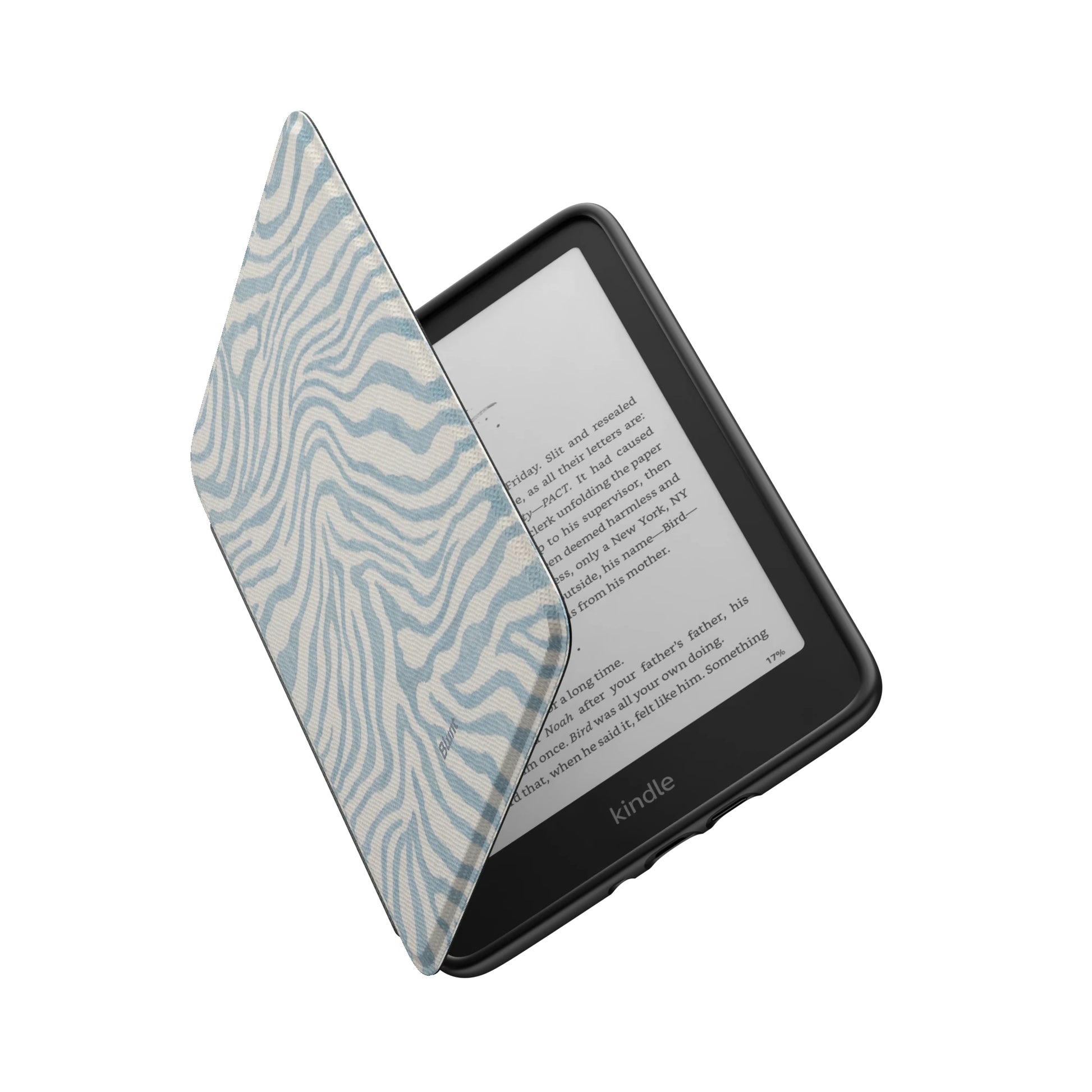 Kindle_Standard_6