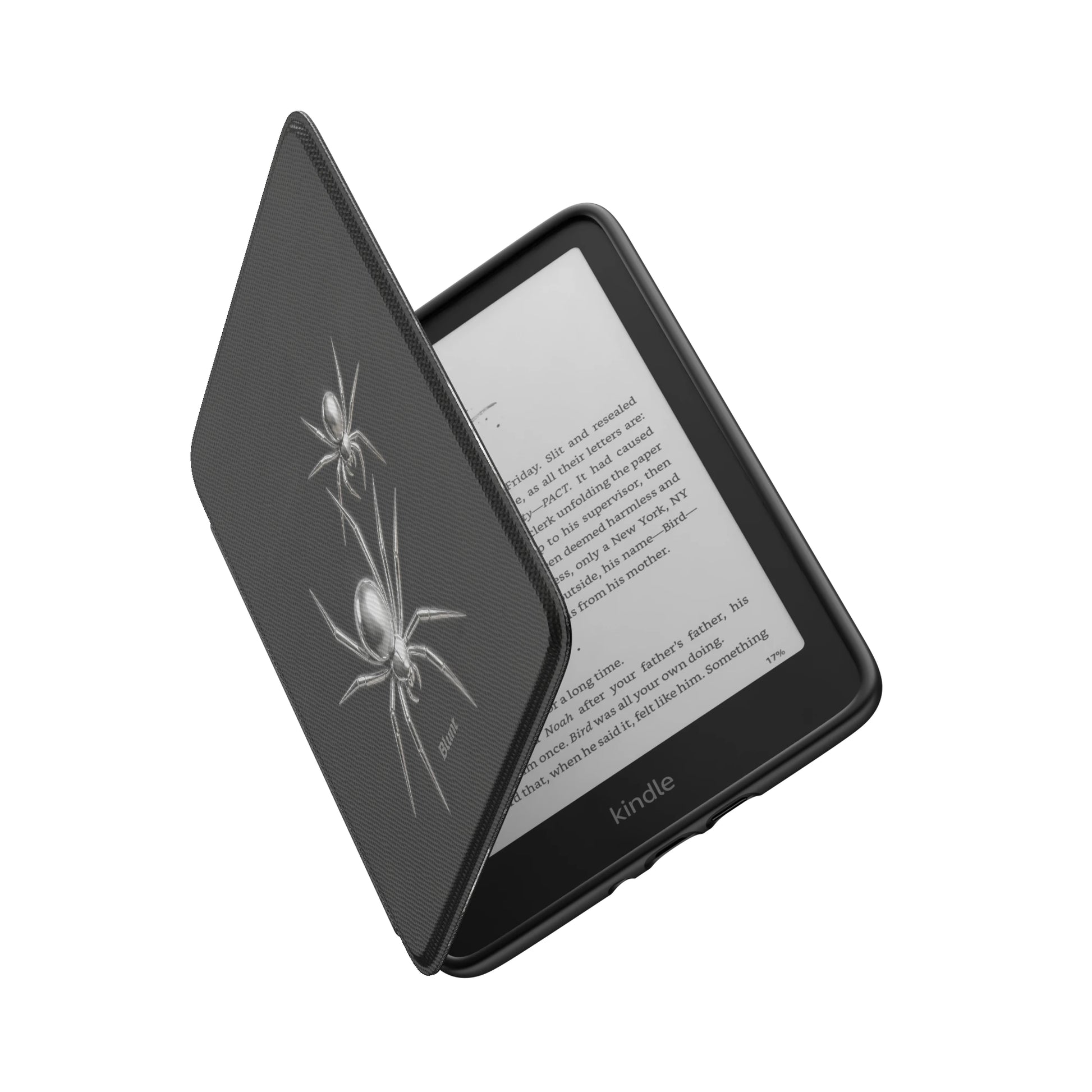 Kindle_Standard_6