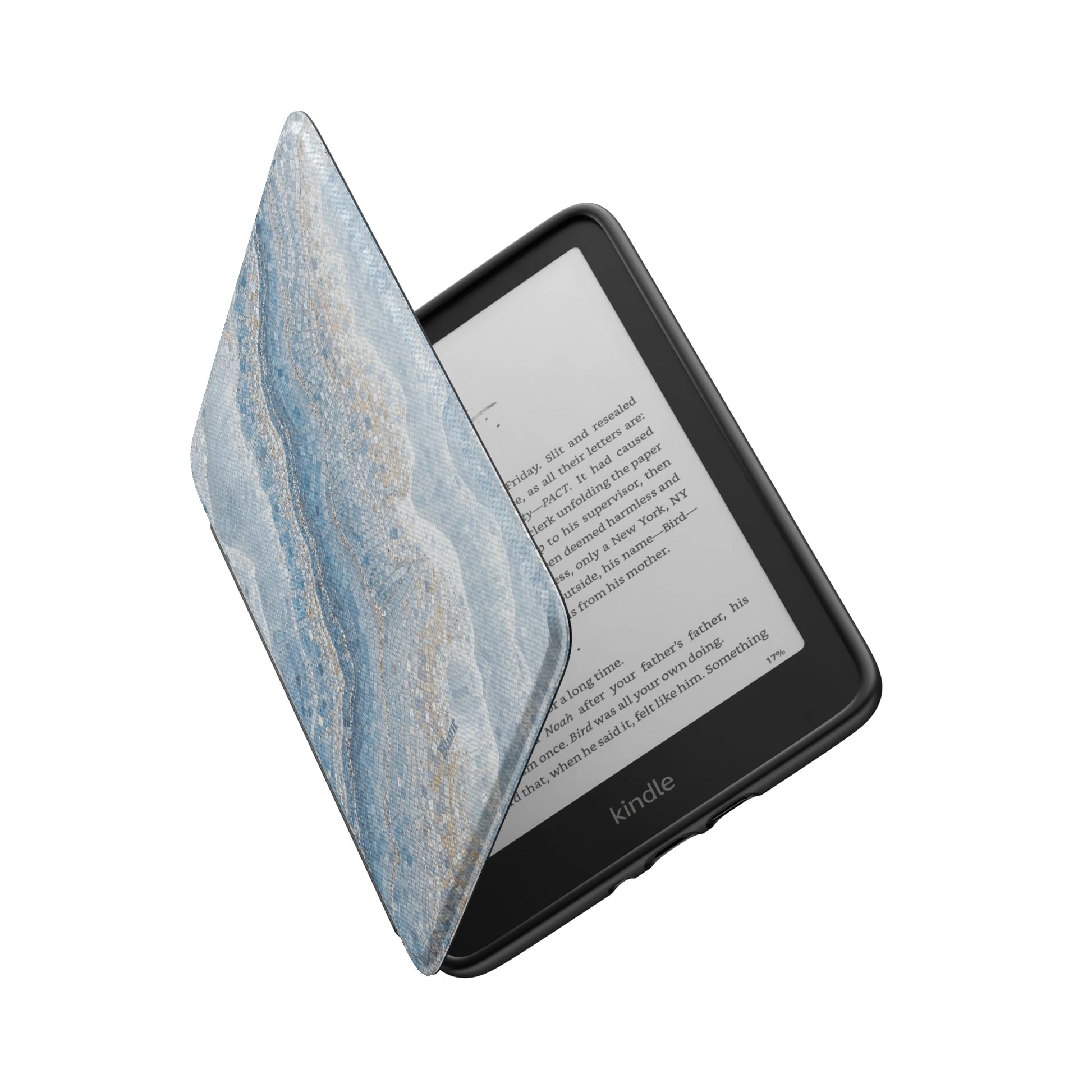 Kindle_Standard_6