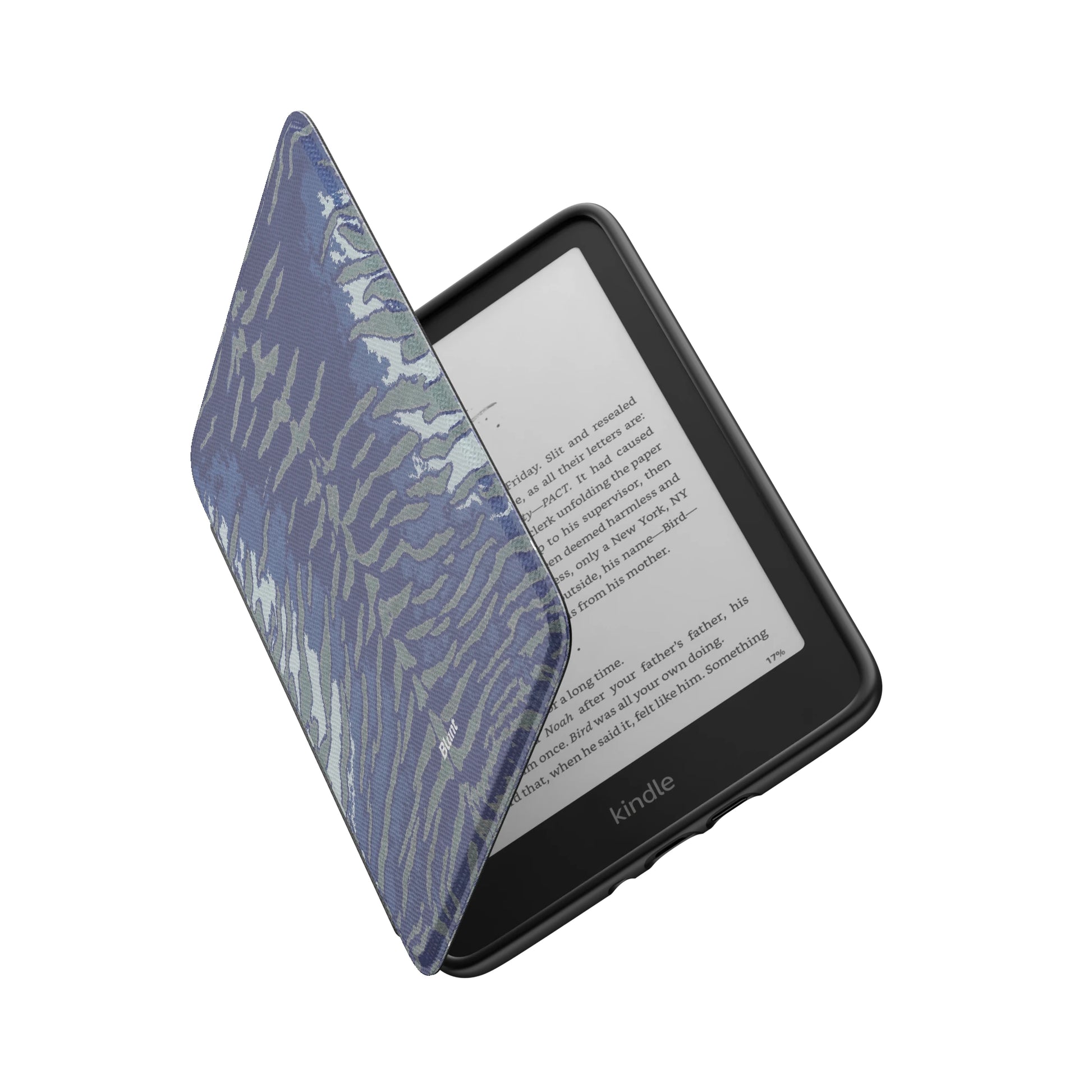 Kindle_Standard_6