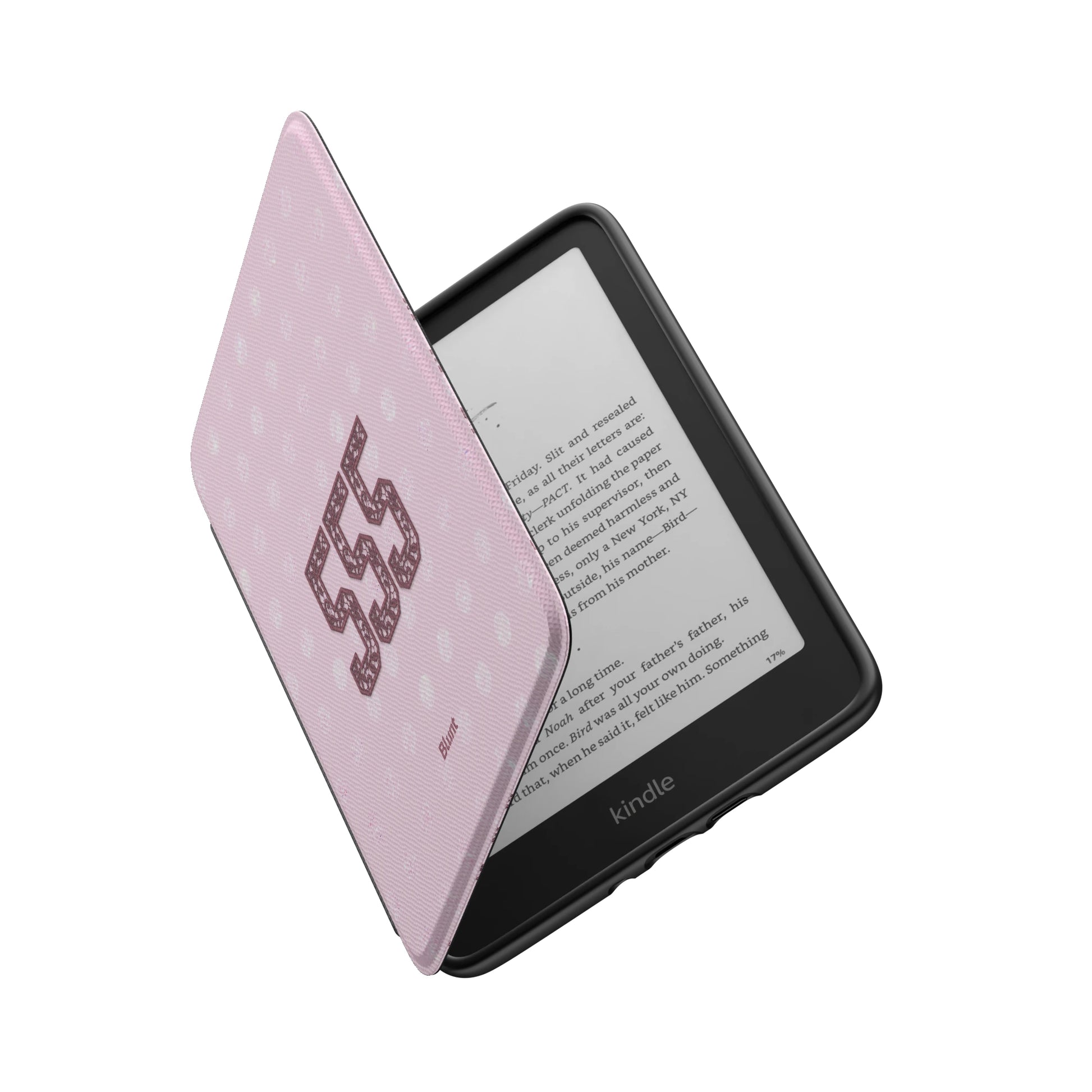 Kindle_Standard_6