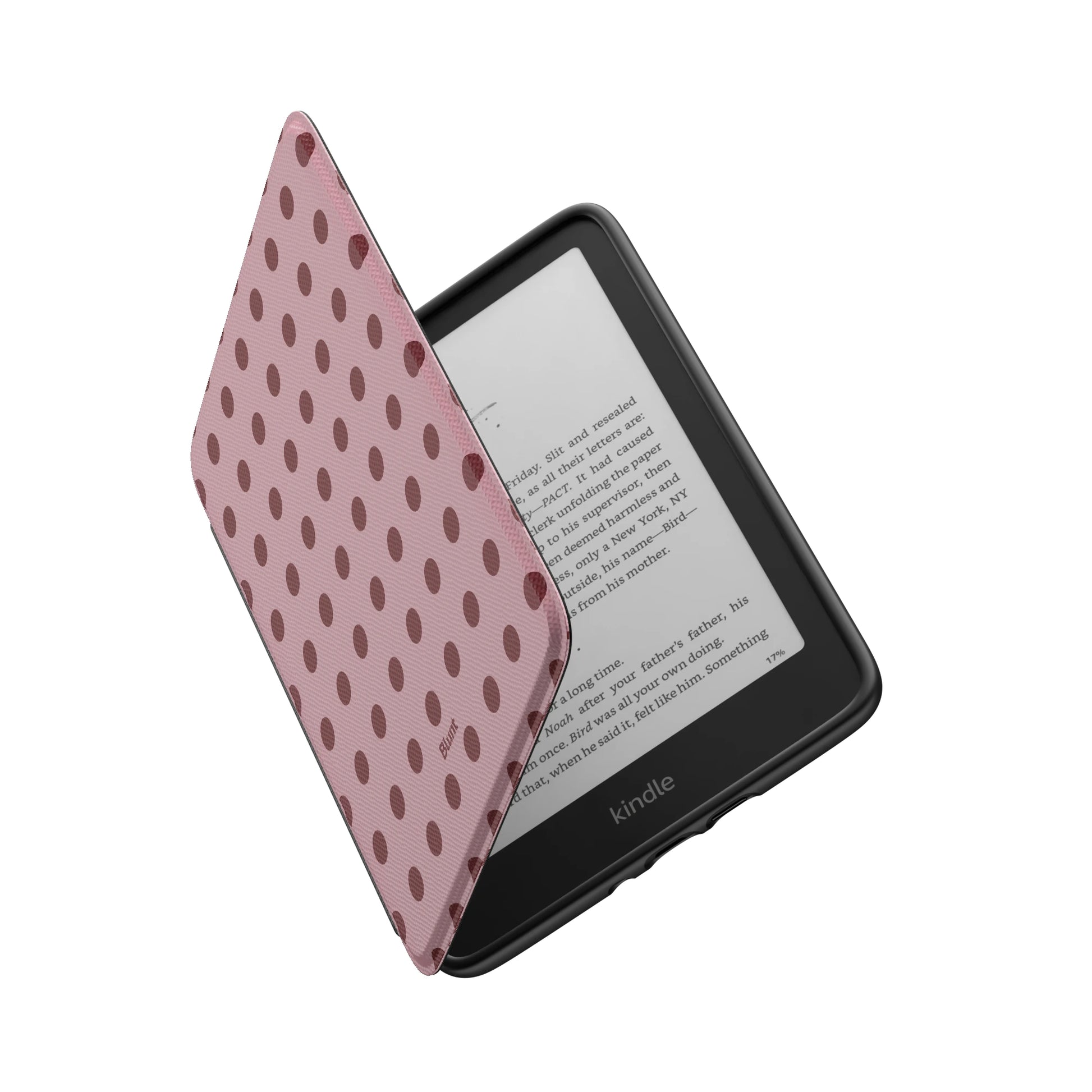Kindle_Standard_6