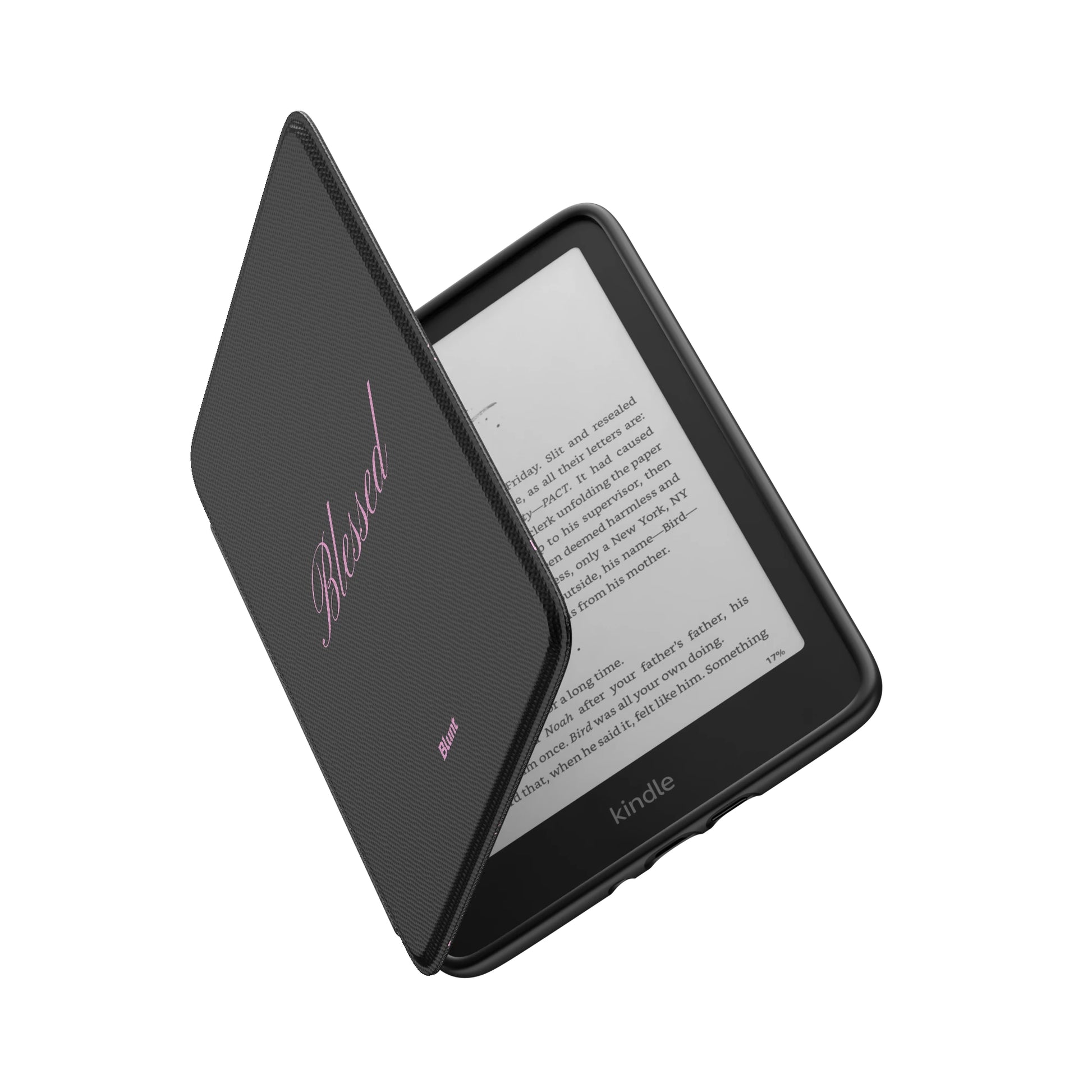 Kindle_Standard_6